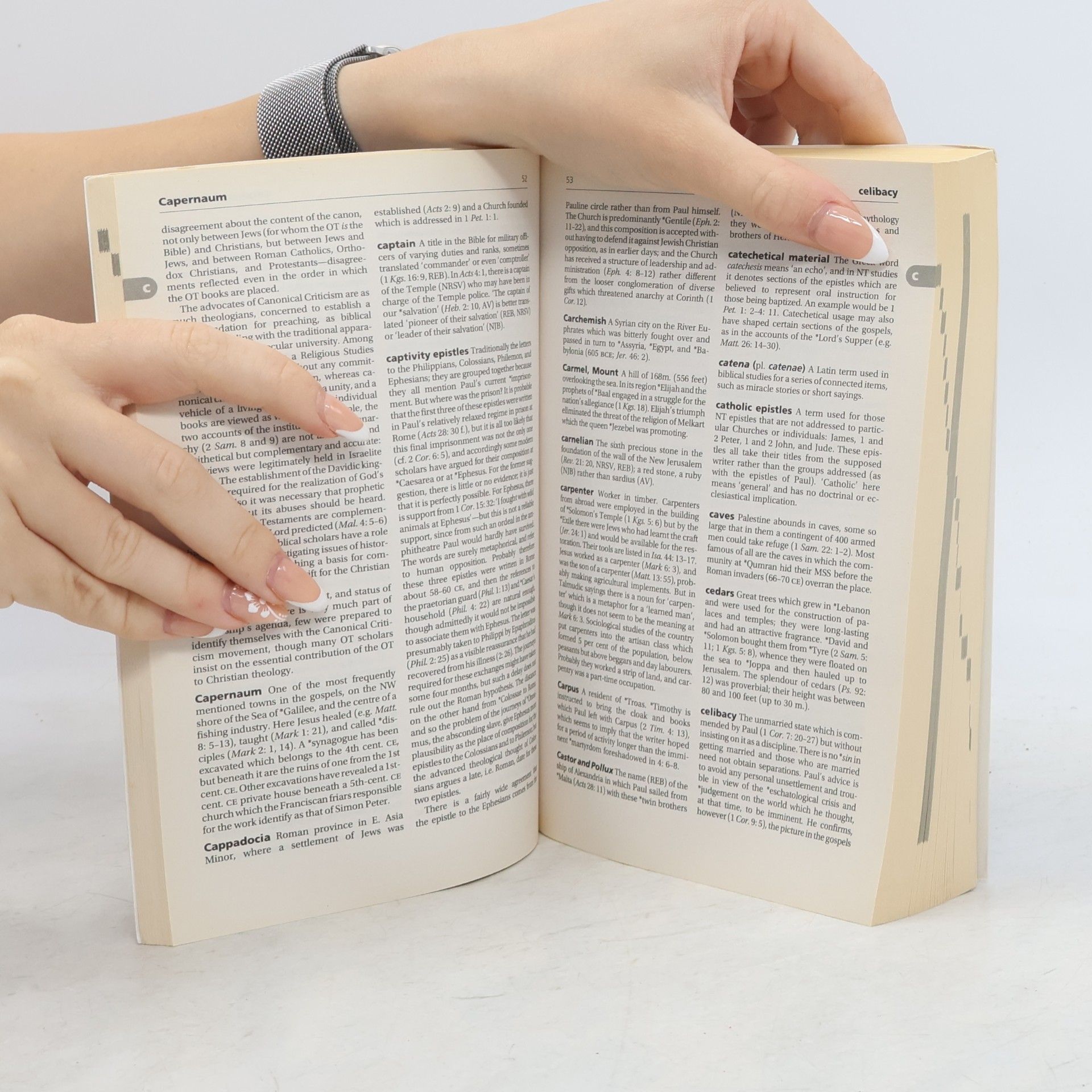 W.R.F Browning A Dictionary of the Bible