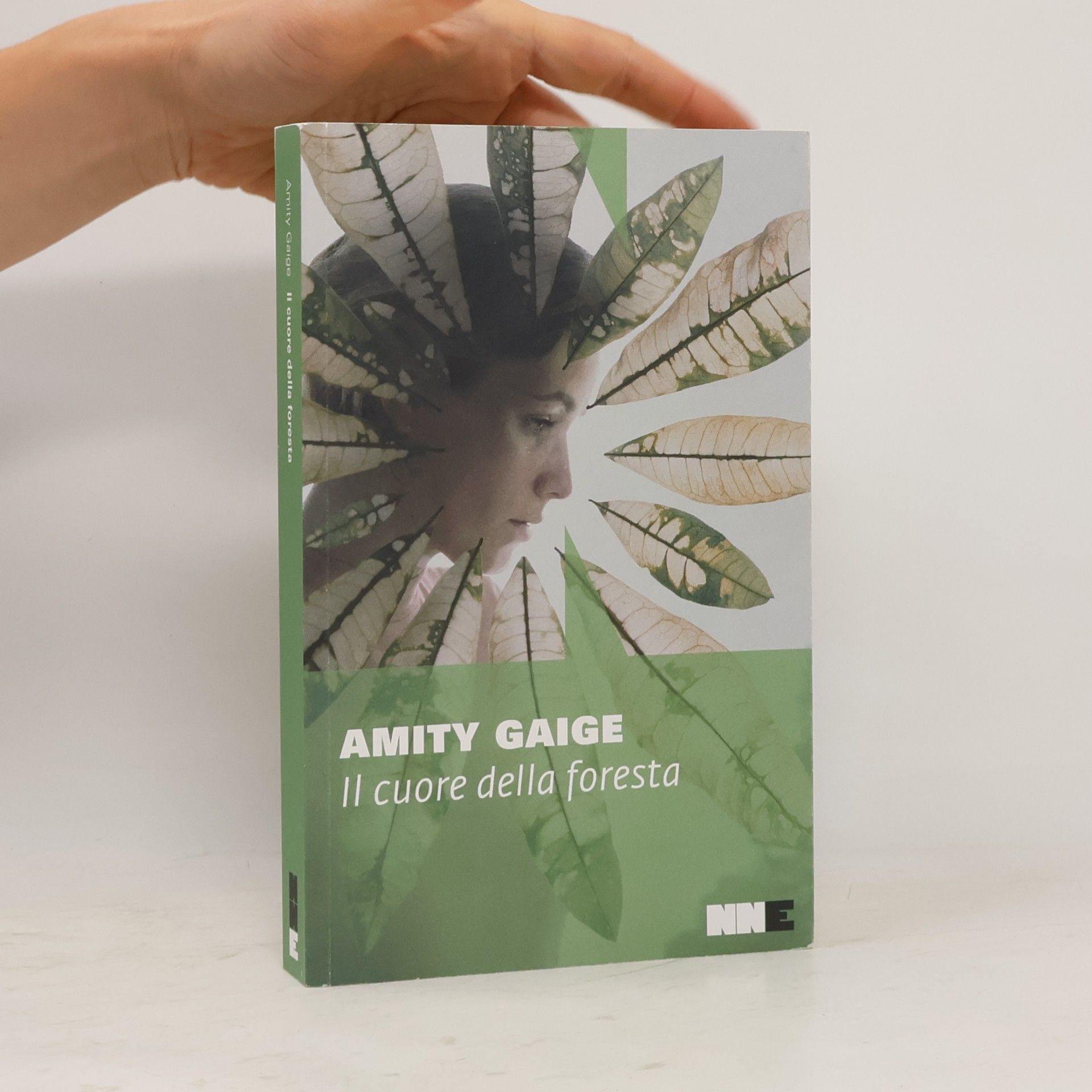 Amity Gaige Il cuore della foresta