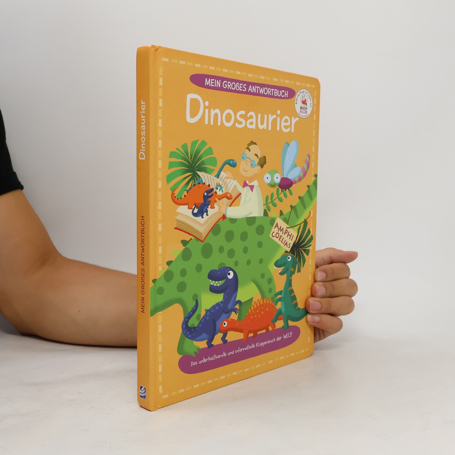 Collectif d'auteurs Mein Großes Antwortbuch Dinosaurier