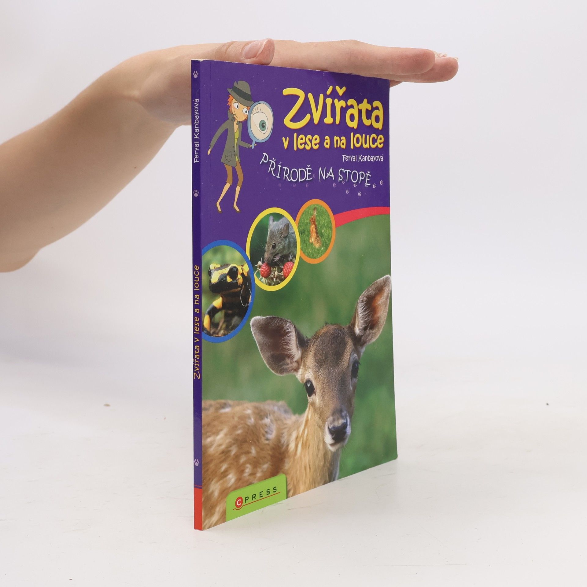 Feryal Kanbay Zvířata v lese a na louce