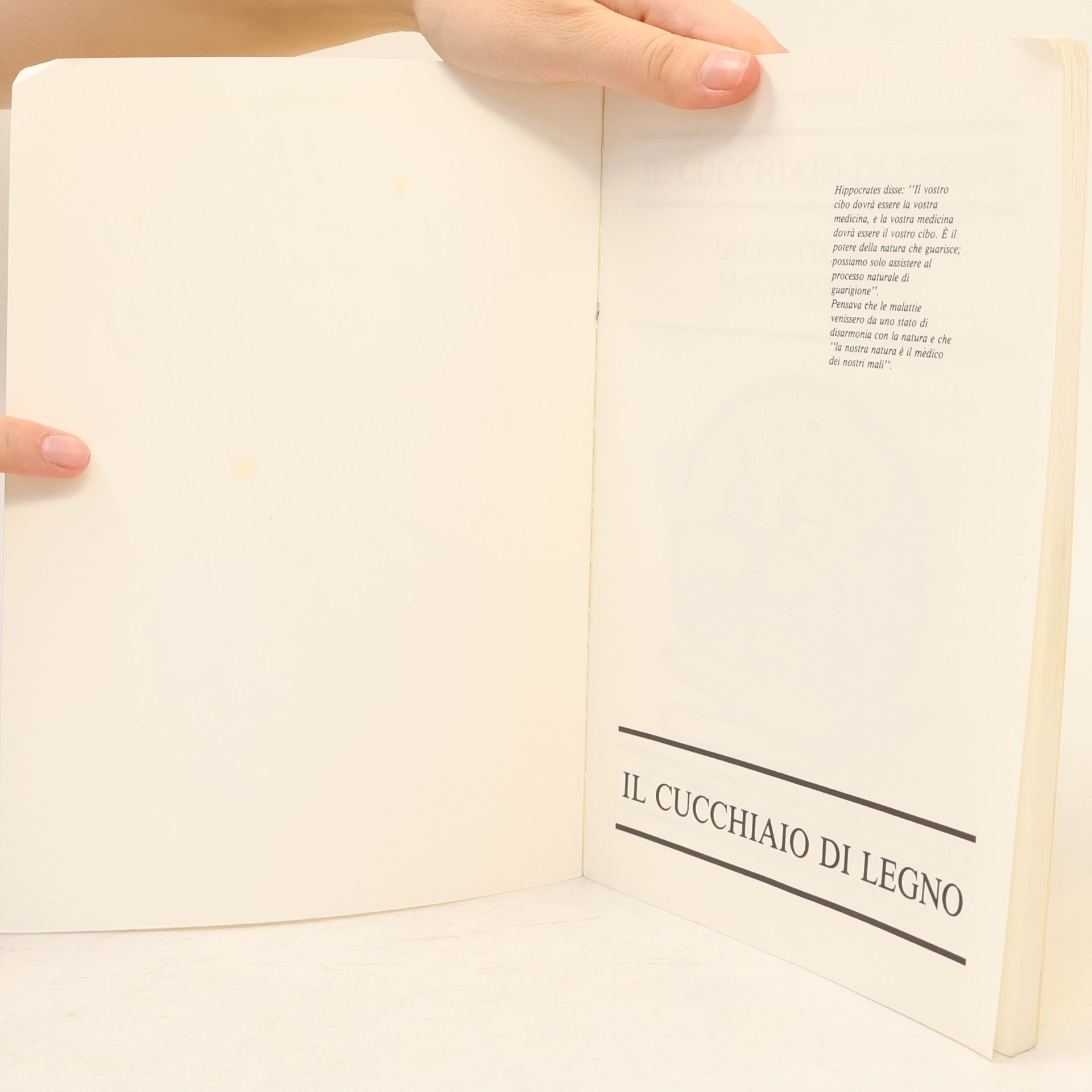 Autores varios Il cucchiaio di legno
