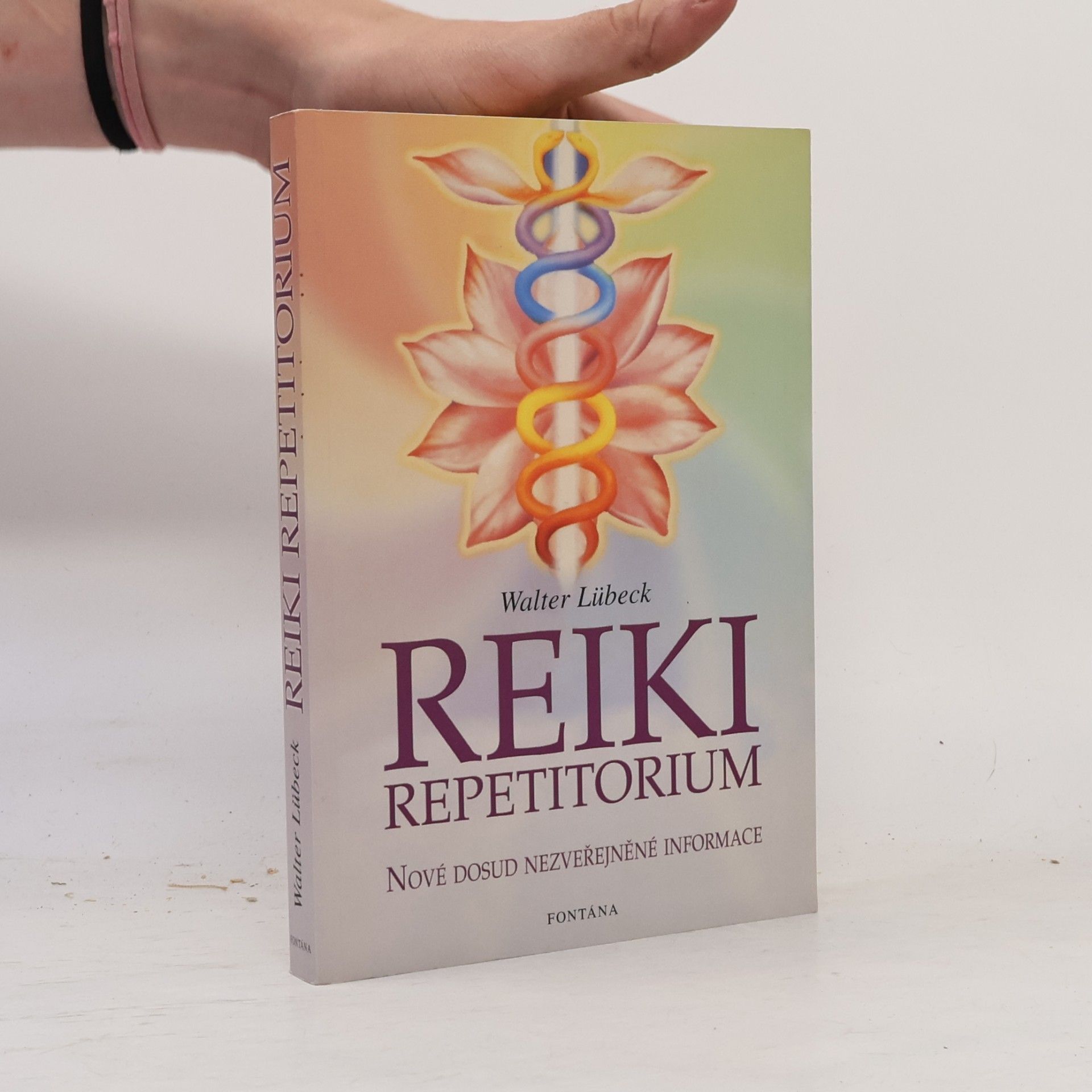 Walter Lübeck Repetitorium reiki