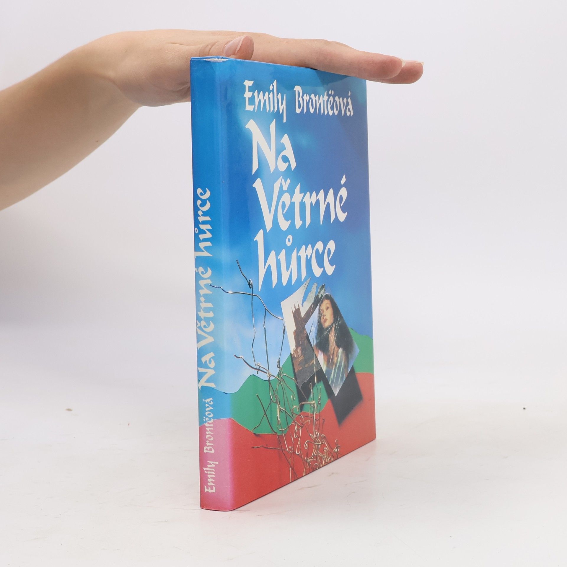 Emily Brontë Na Větrné hůrce