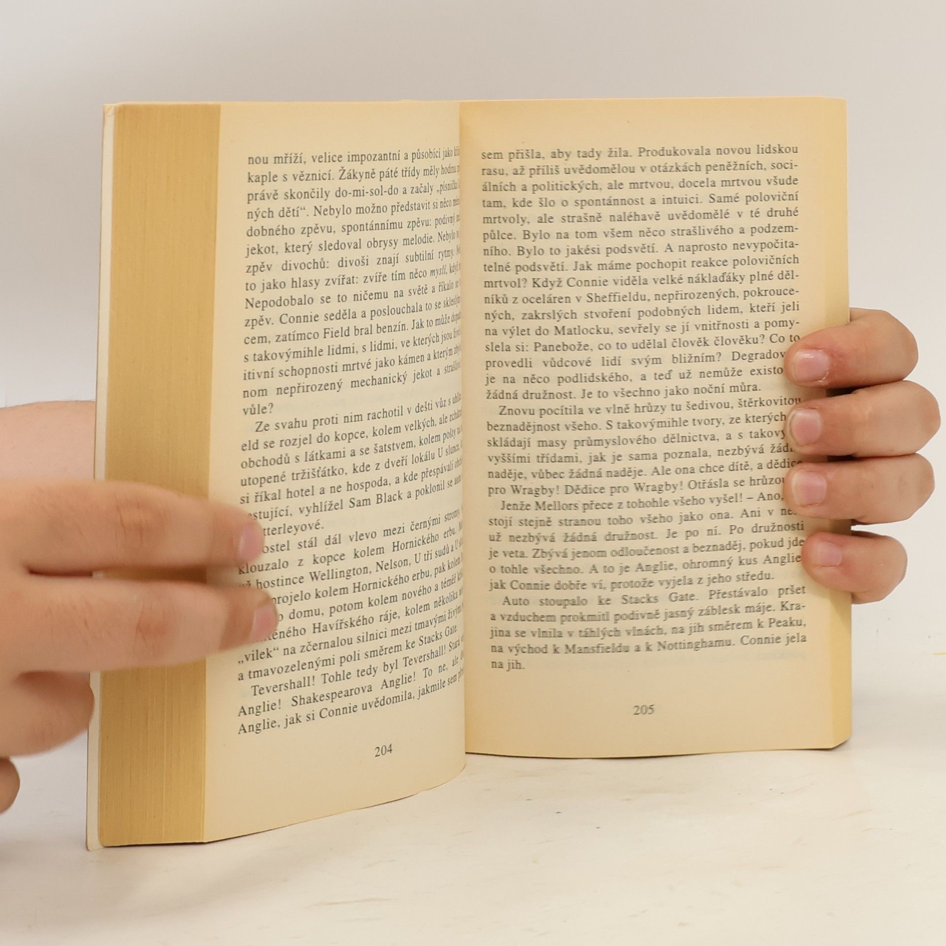 D. H. Lawrence Milenec lady Chatterleyové