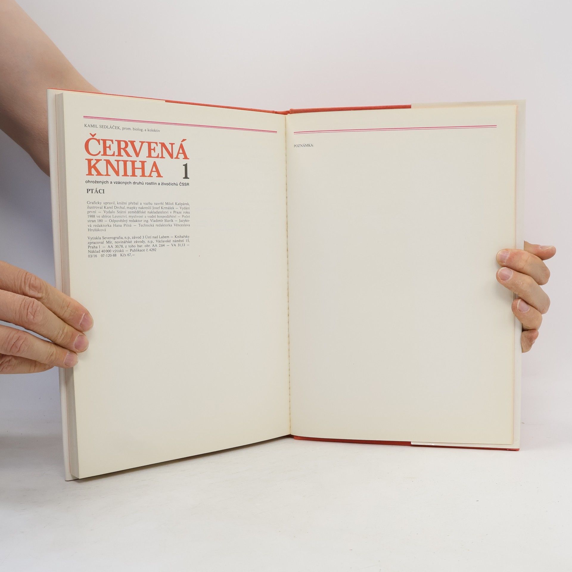Kamil Sedláček Červená kniha 1. Ptáci