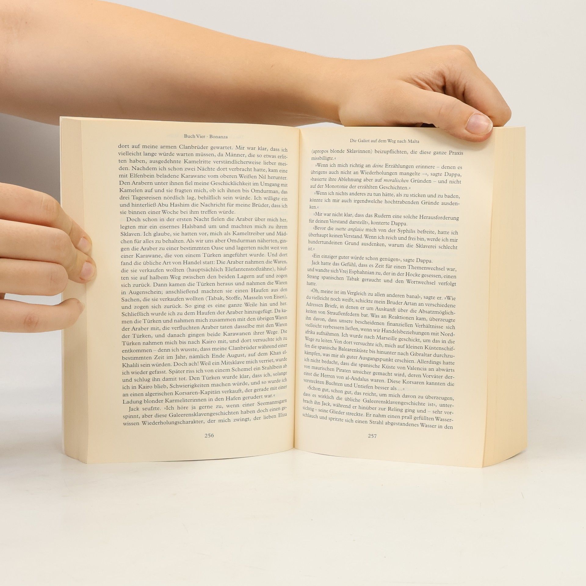 Neal Stephenson Confusion