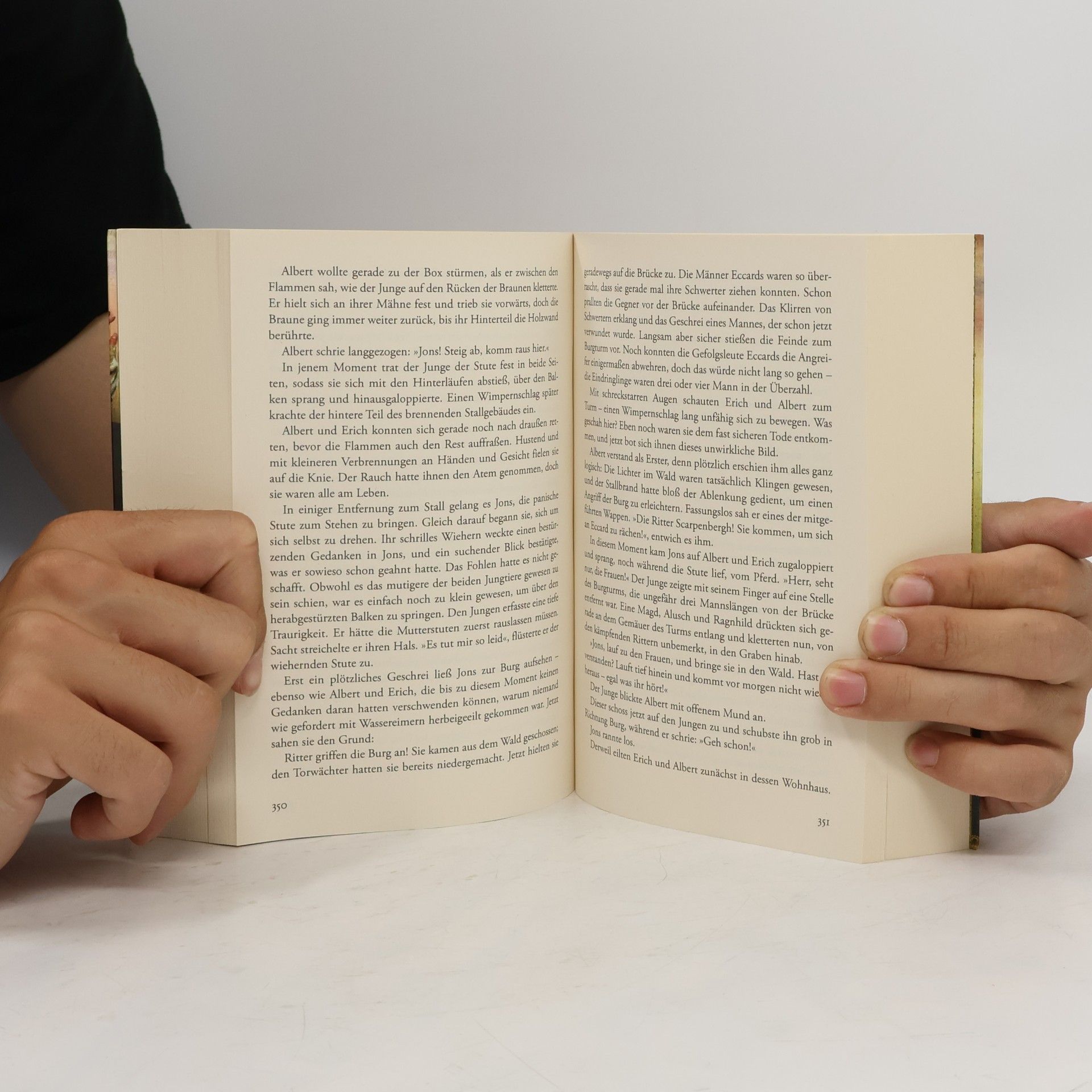 Joël Tan Das Vermächtnis des Ratsherrn