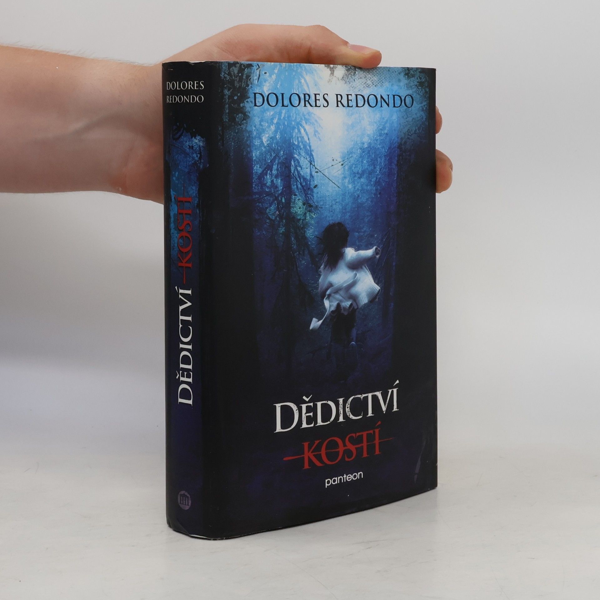 Dolores Redondo Dědictví kostí