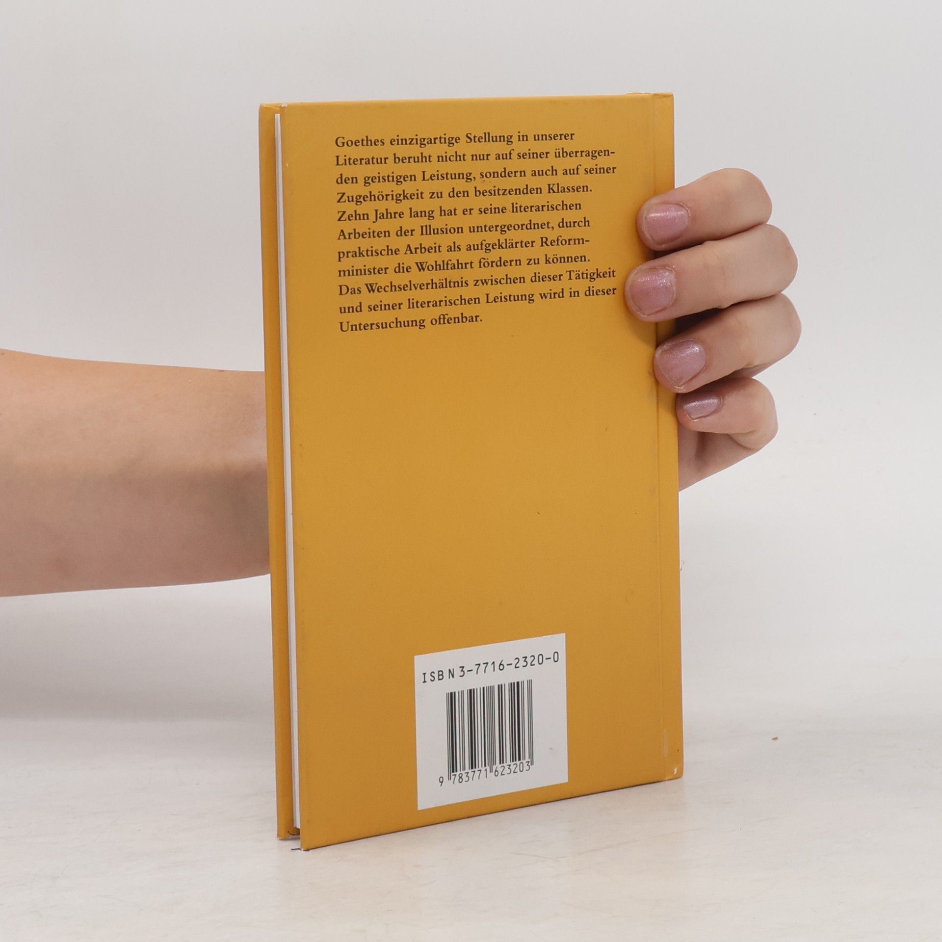 Ulrich Küntzel Die Geschäfte des Herrn Goethe