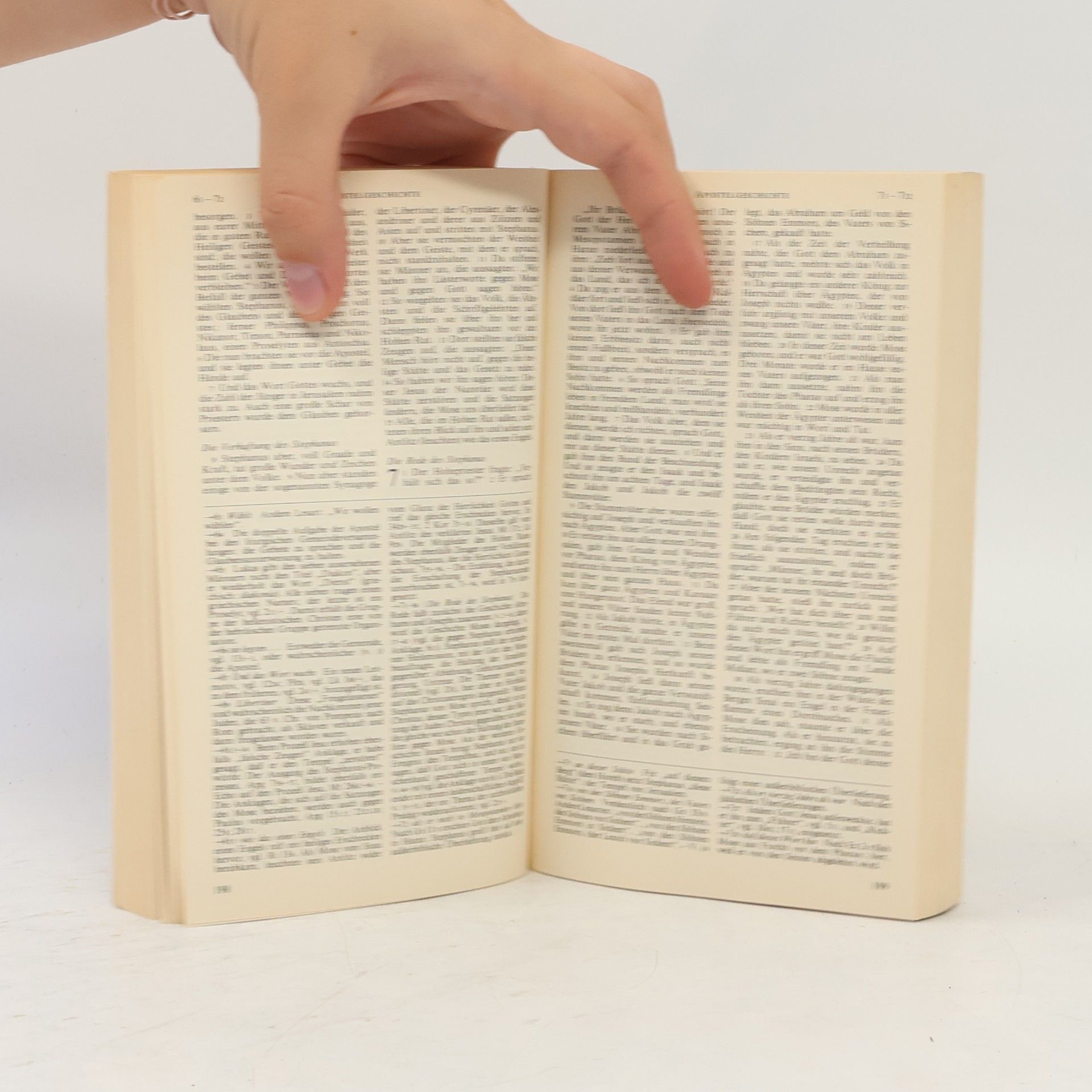 Autorenkollektiv Kleine Jerusalemer Bibel, Neues Testament und Psalmen