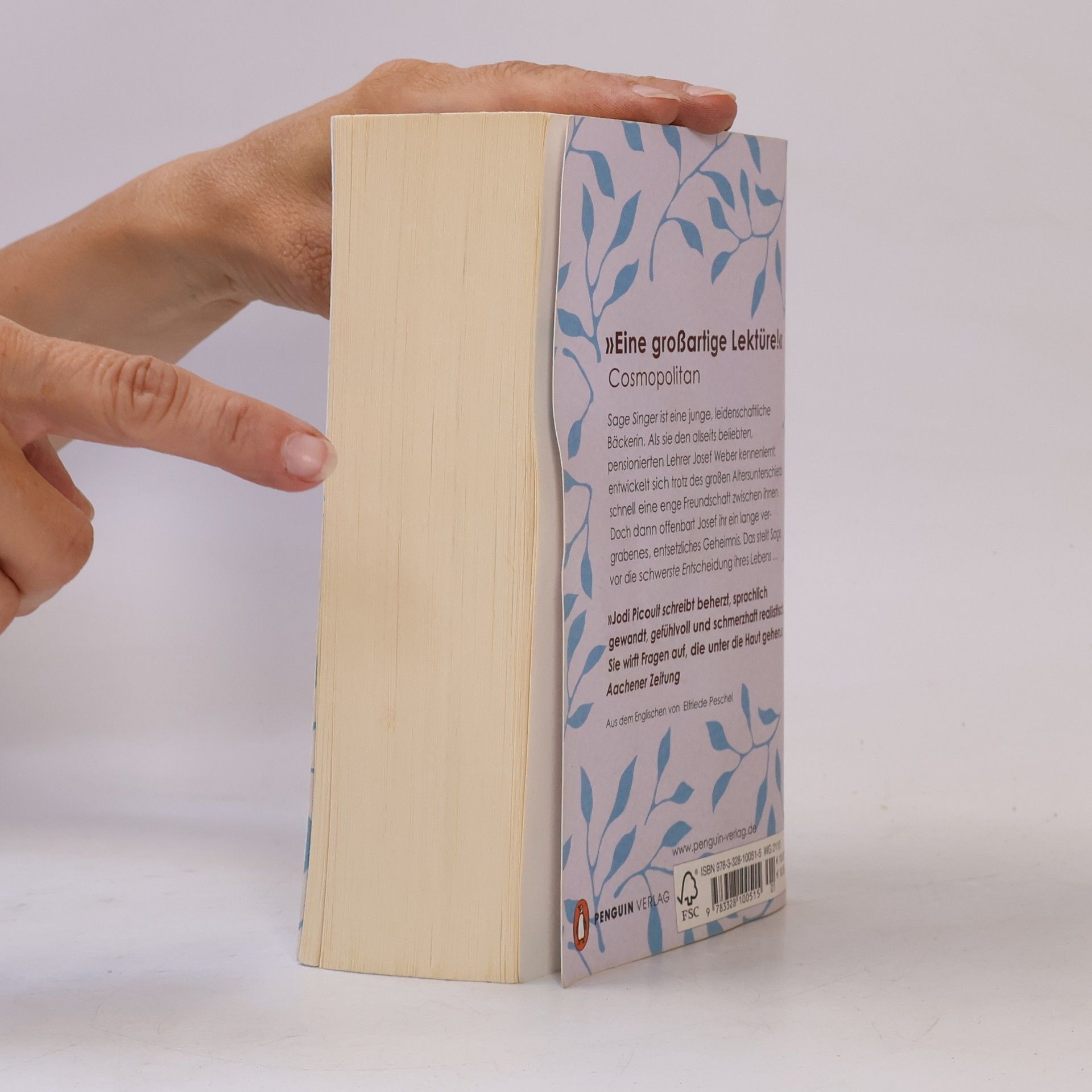Jodi Picoult Bis ans Ende der Geschichte