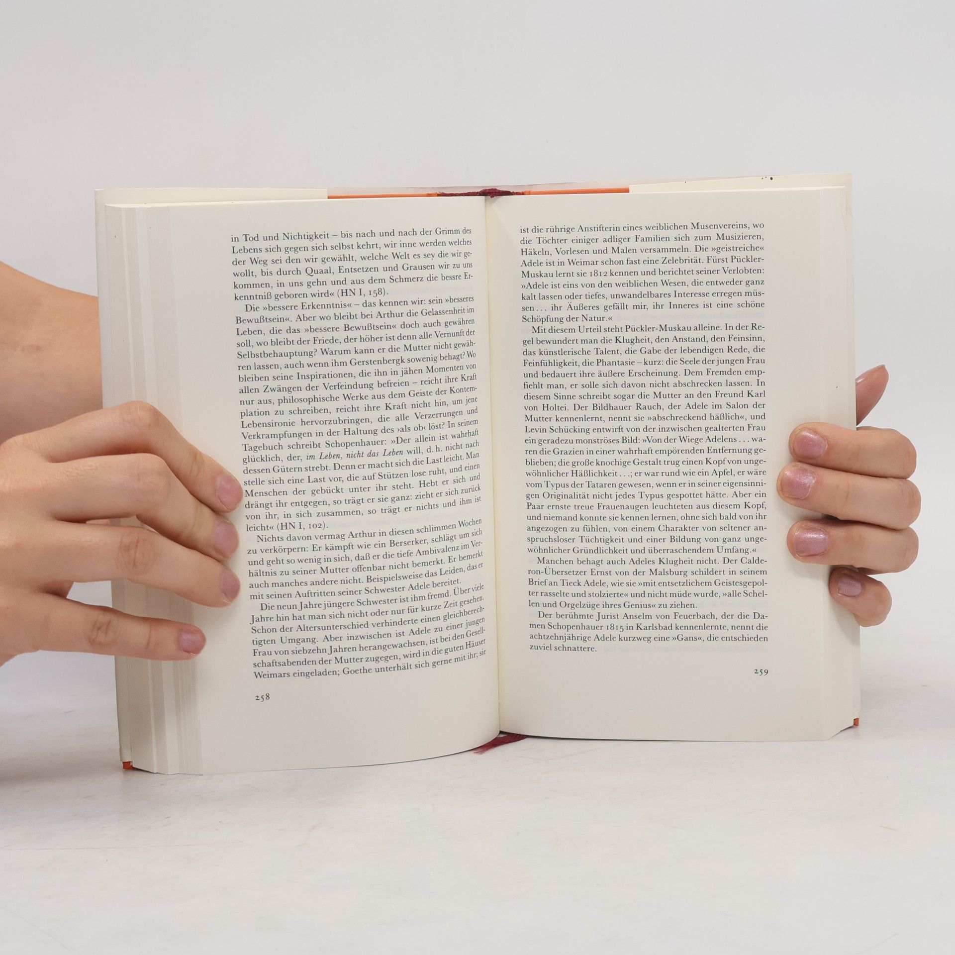 Rüdiger Safranski Schopenhauer und die wilden Jahre der Philosophie
