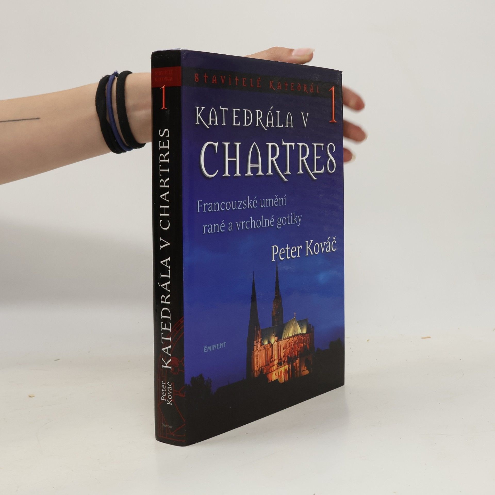 Peter Kováč Katedrála v Chartres