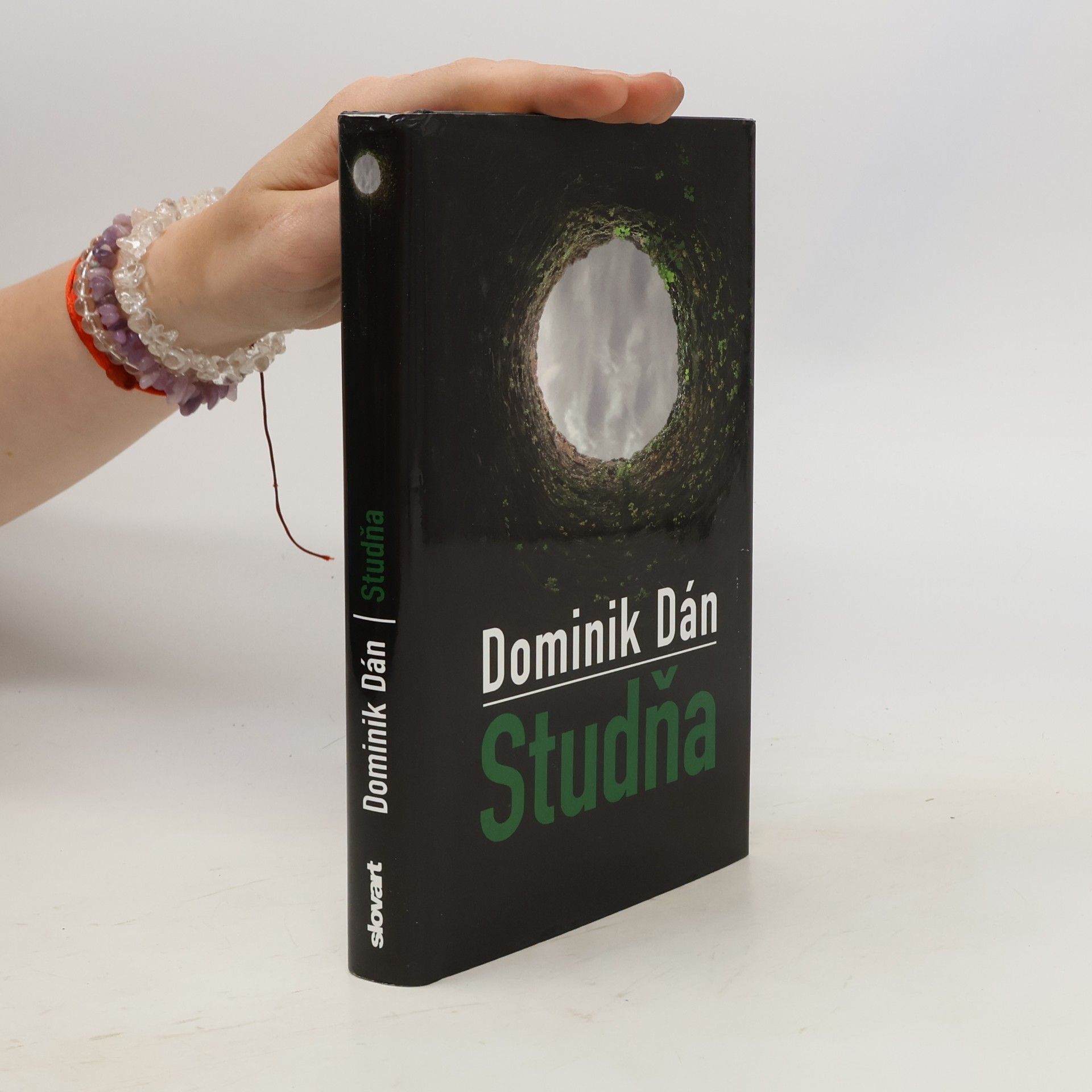 Dominik Dán Studňa