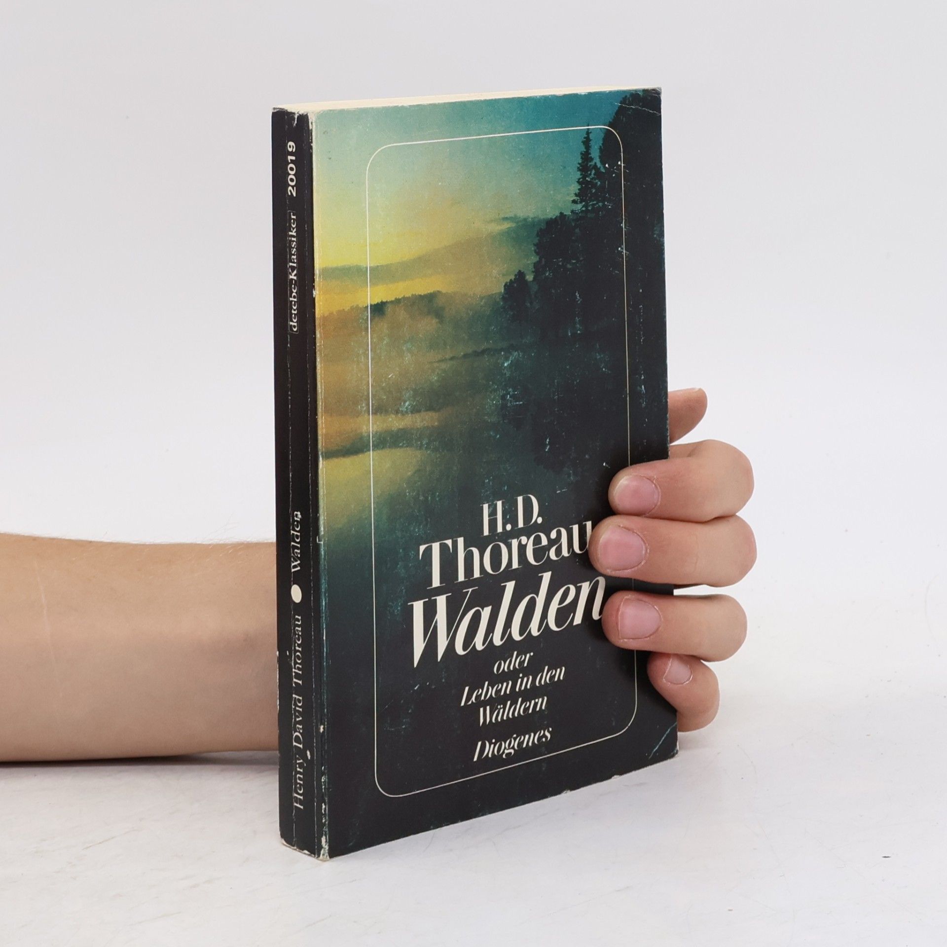 Henry David Thoreau Walden oder Leben in den Wäldern