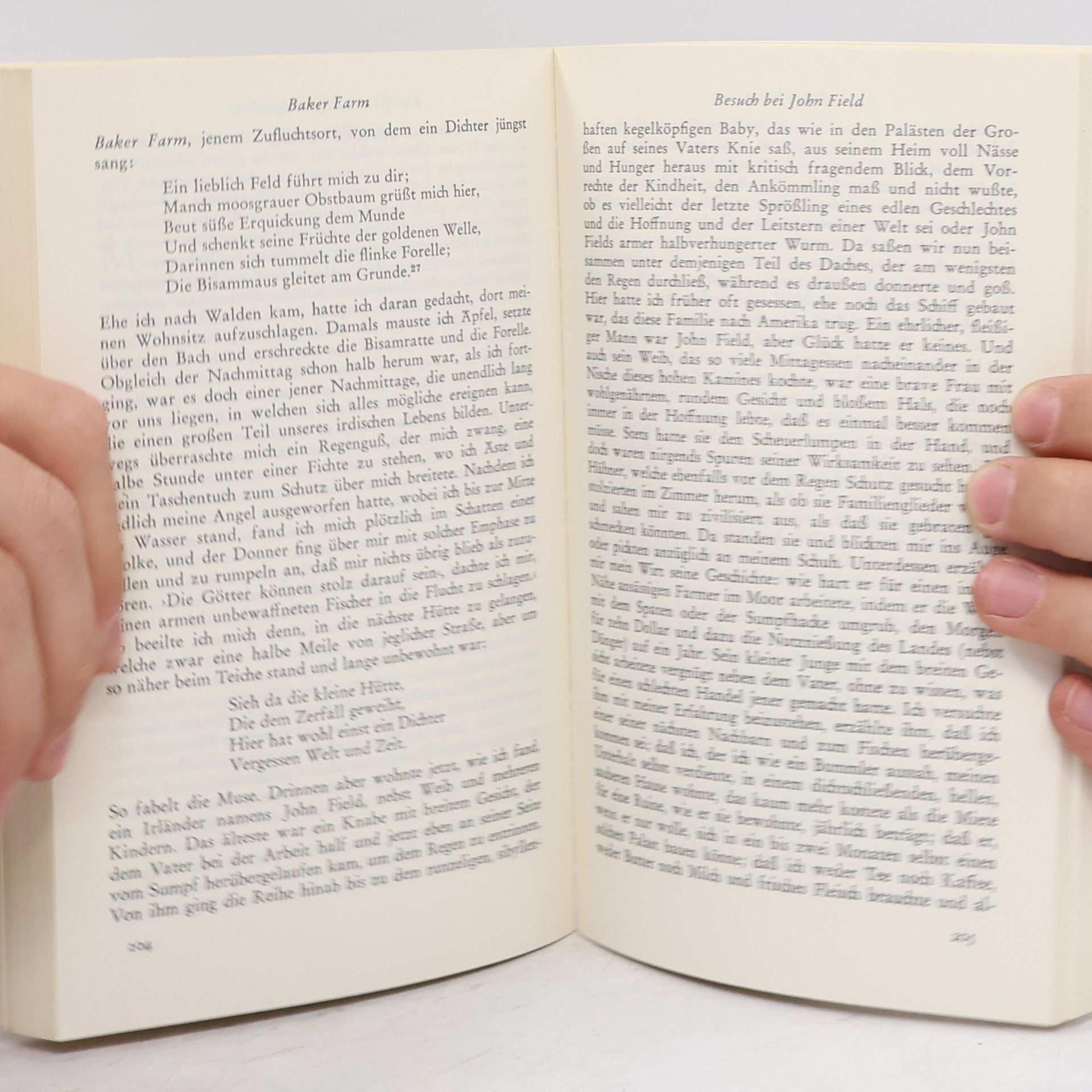 Henry David Thoreau Walden oder Leben in den Wäldern