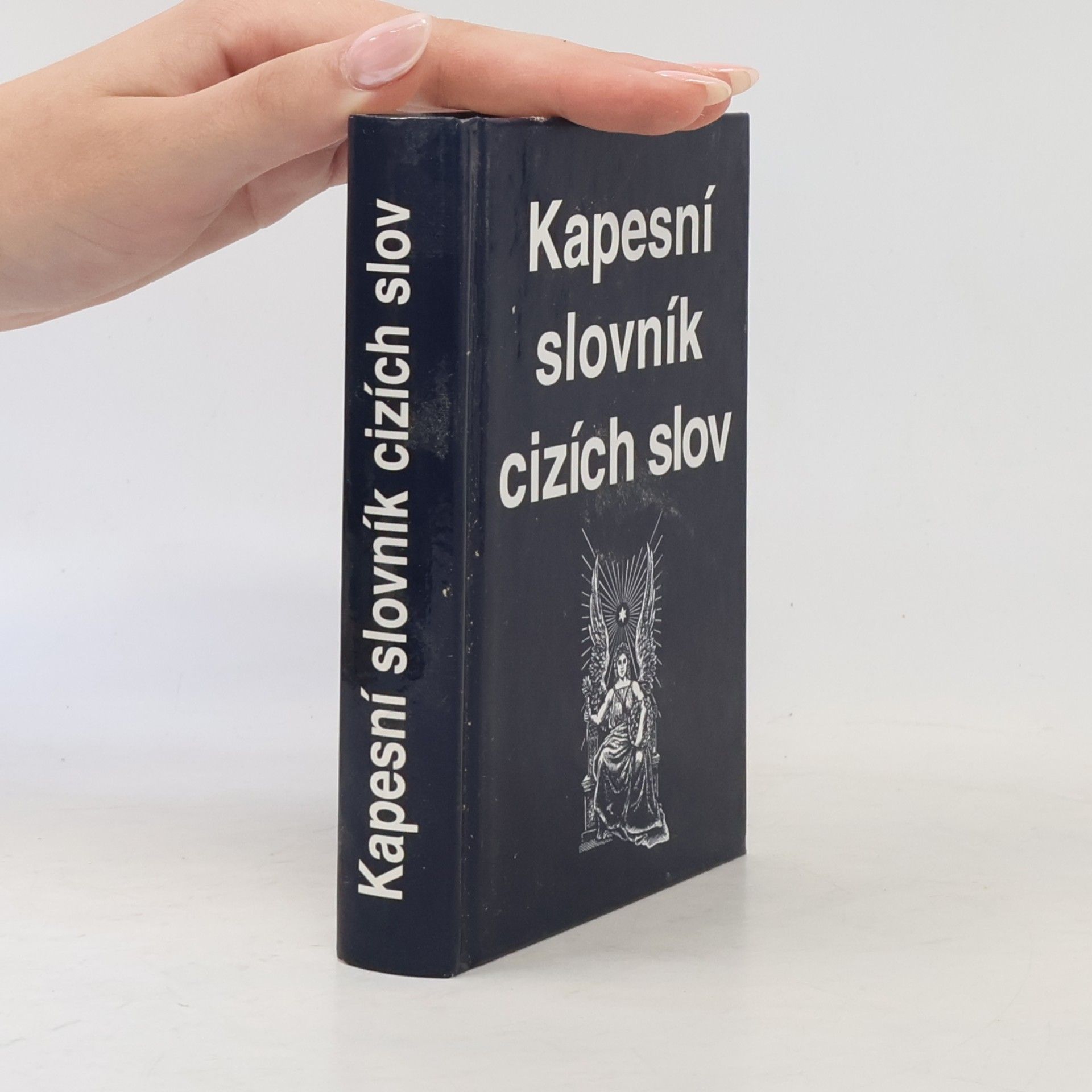 Autorenkollektiv Kapesní slovník cizích slov