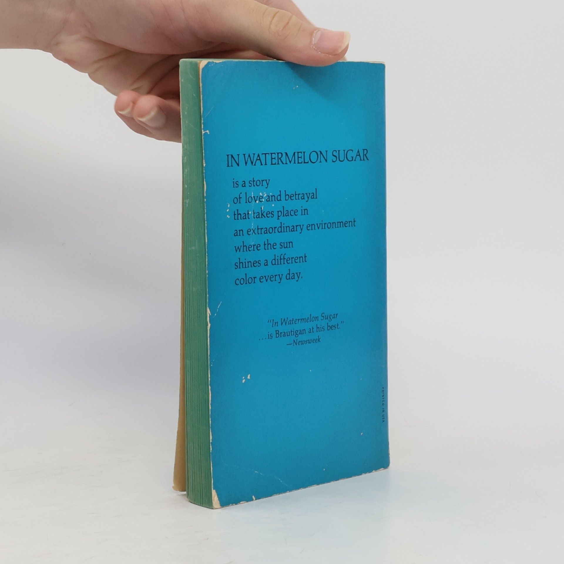 Richard Brautigan In Watermelon Sugar