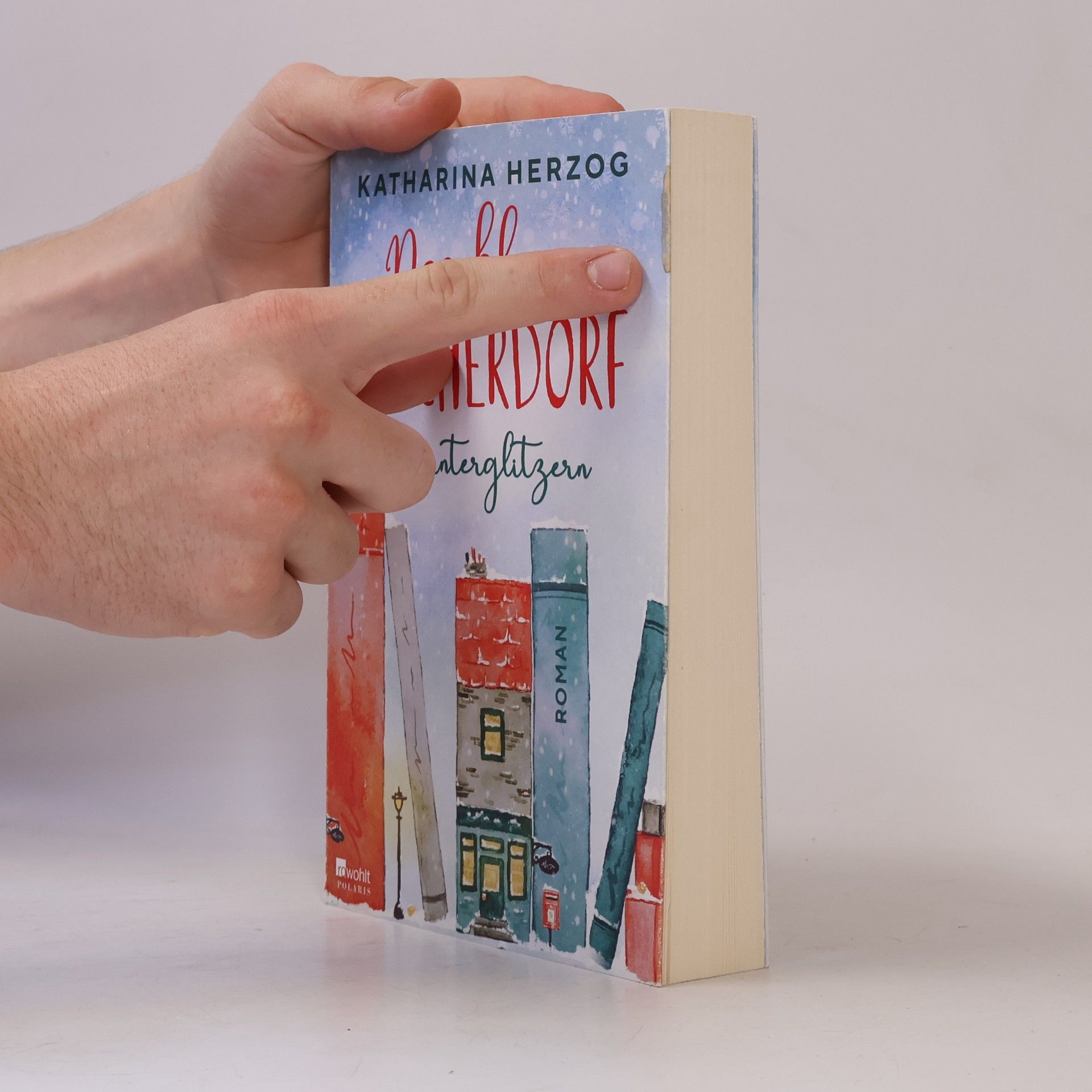 Irene-Katharina Herzog Das kleine Bücherdorf - Winterglitzern