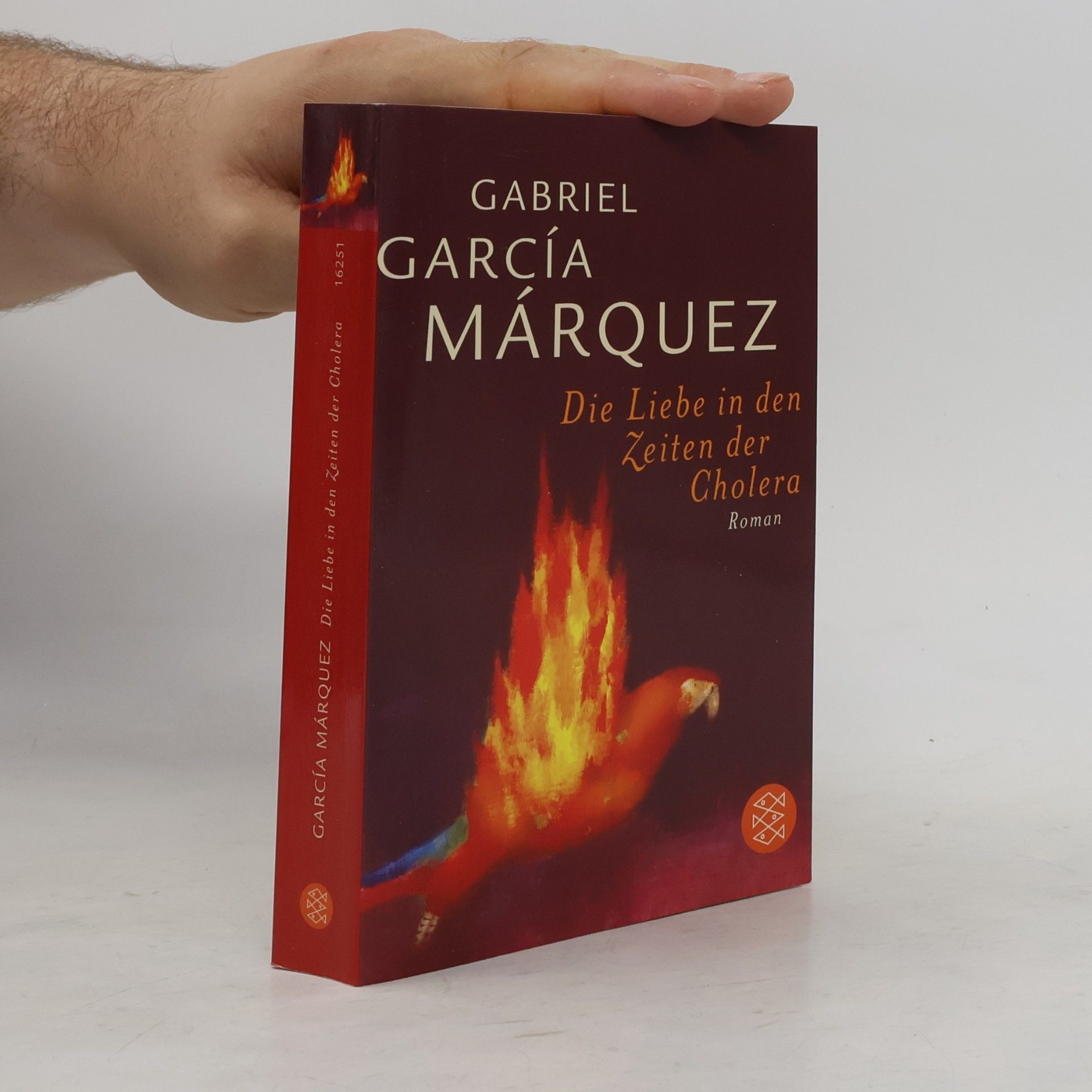 Gabriel García Márquez Die Liebe in den Zeiten der Cholera