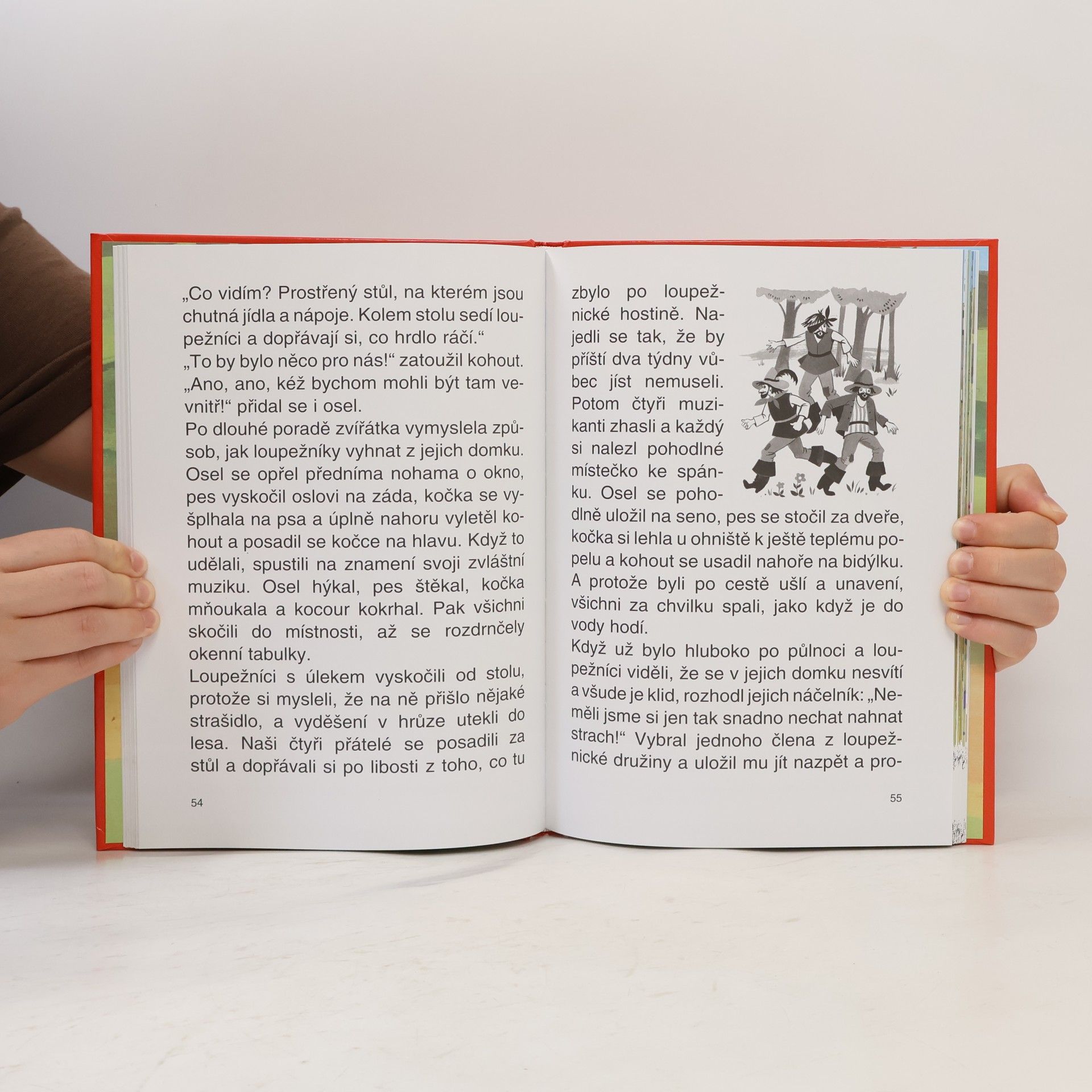 Jacob Grimm Nejkrásnější pohádky bratří Grimmů