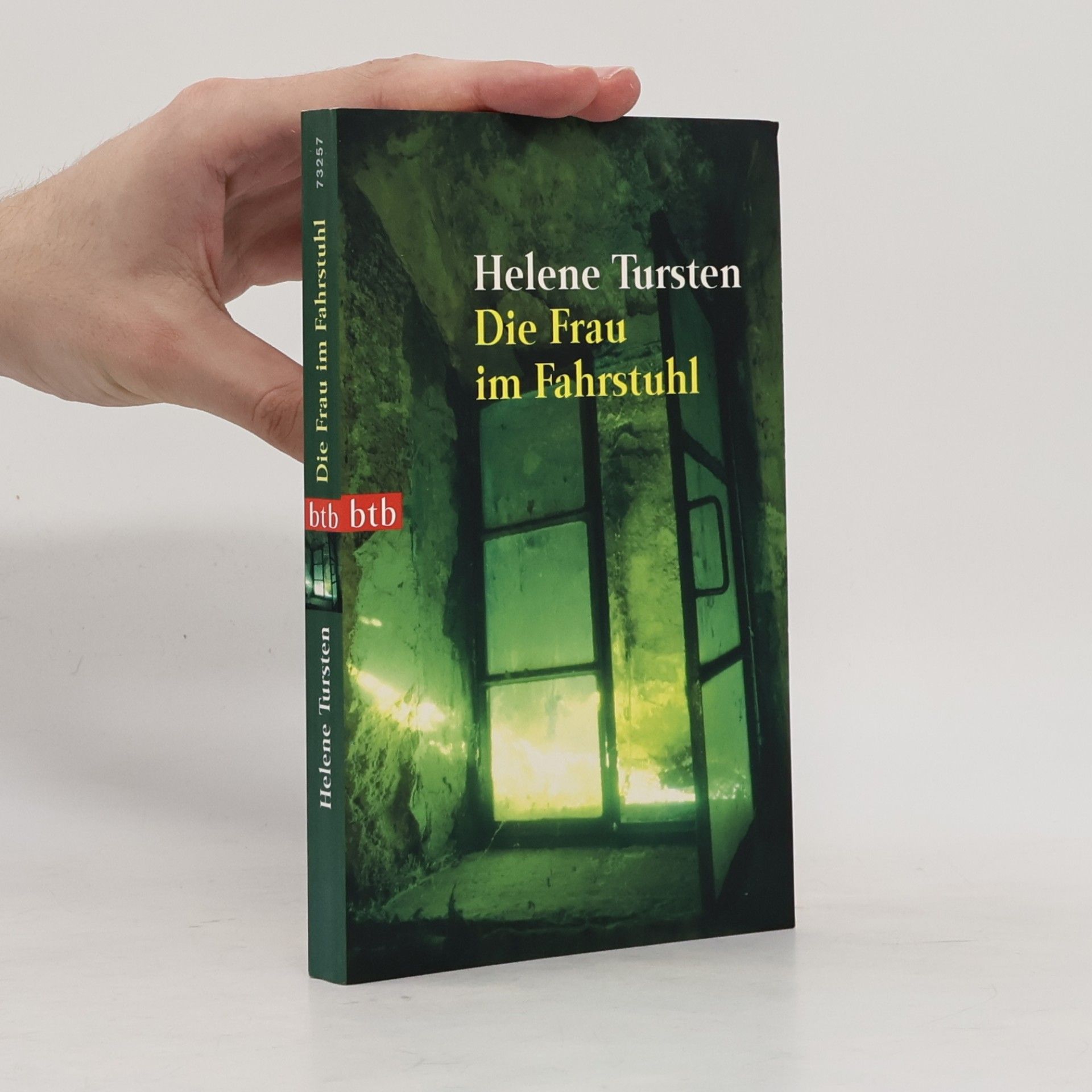Helene Tursten Die Frau im Fahrstuhl