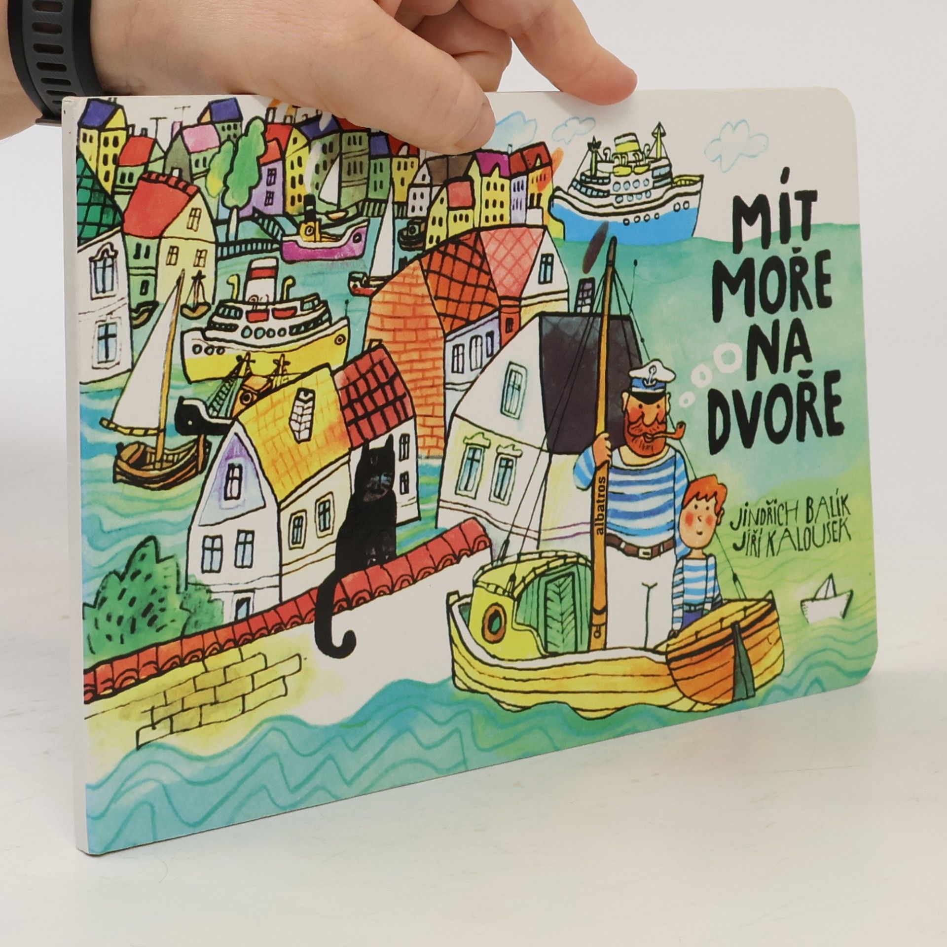 Jindřich Balík Mít moře na dvoře