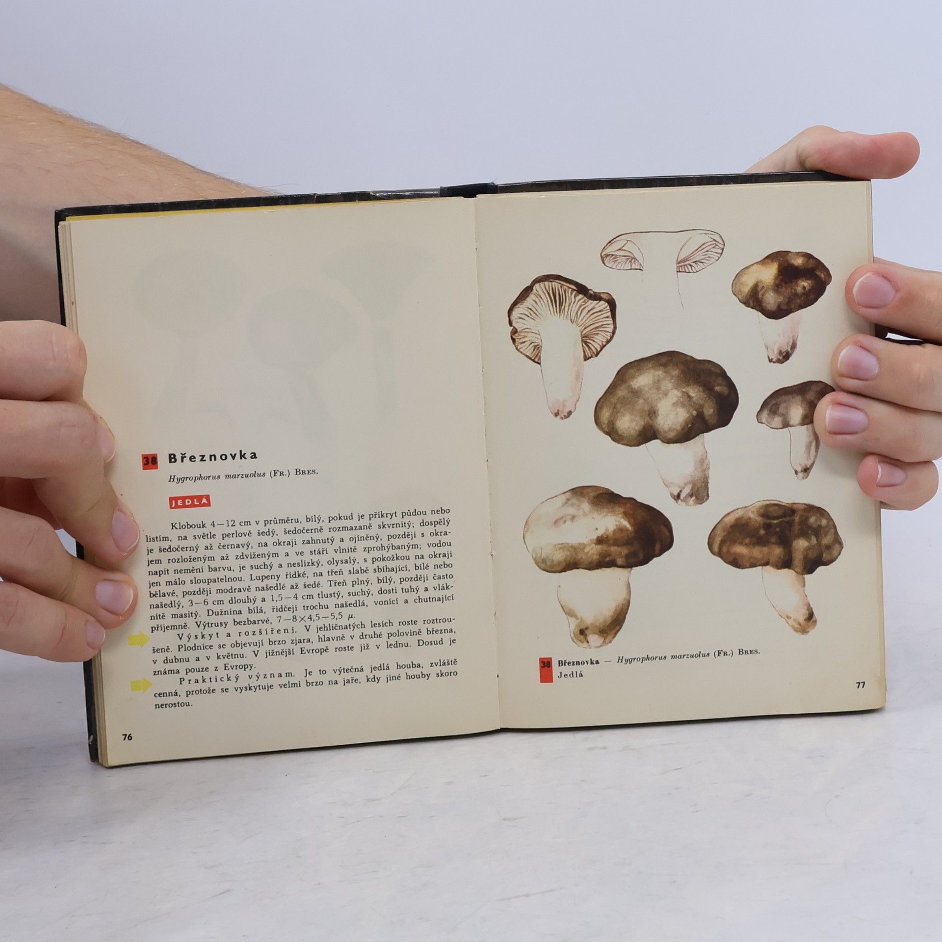 Otto Ušák Kapesní atlas hub
