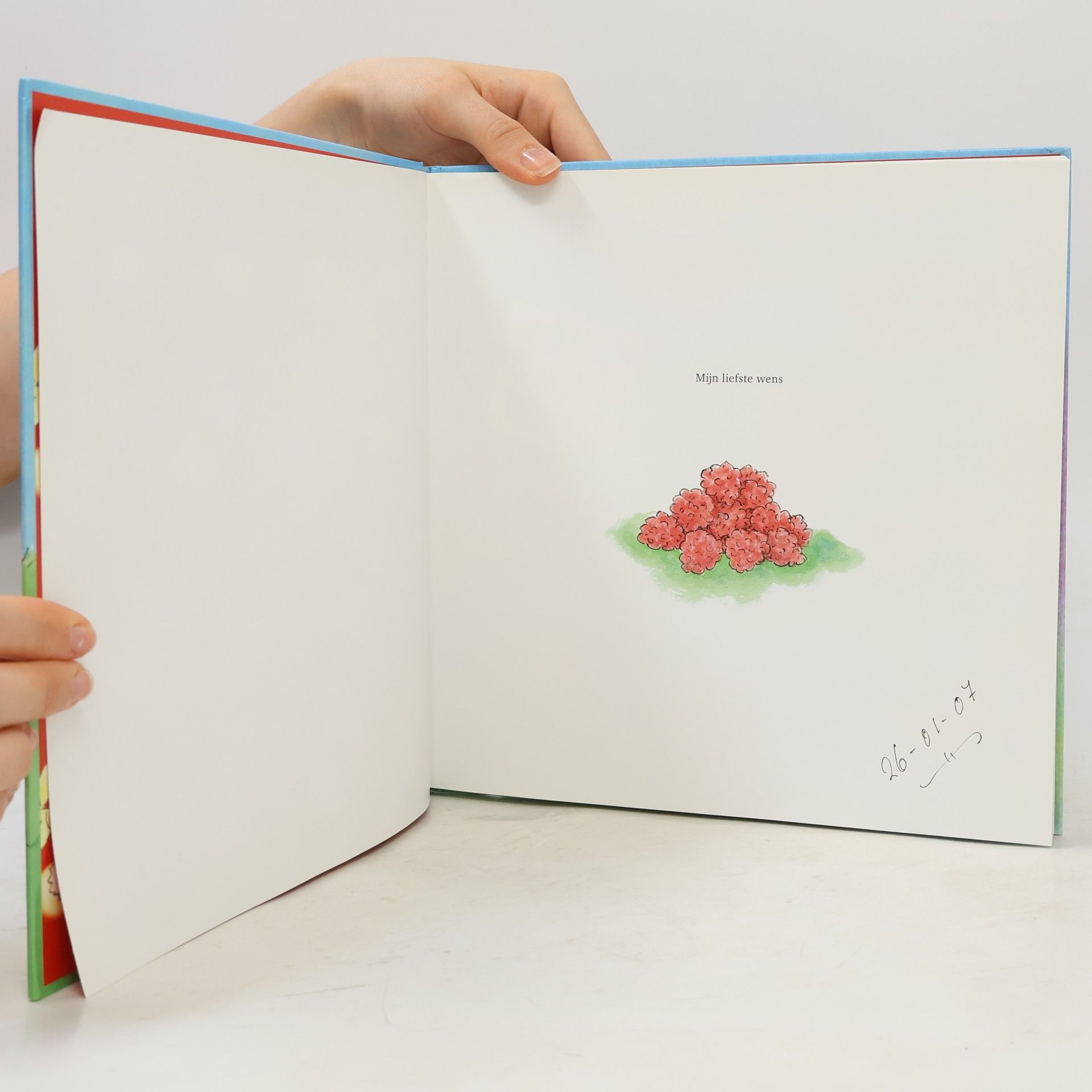Jacobus Maria Vriens Happy Kids Leesboeken: Mijn liefste wens