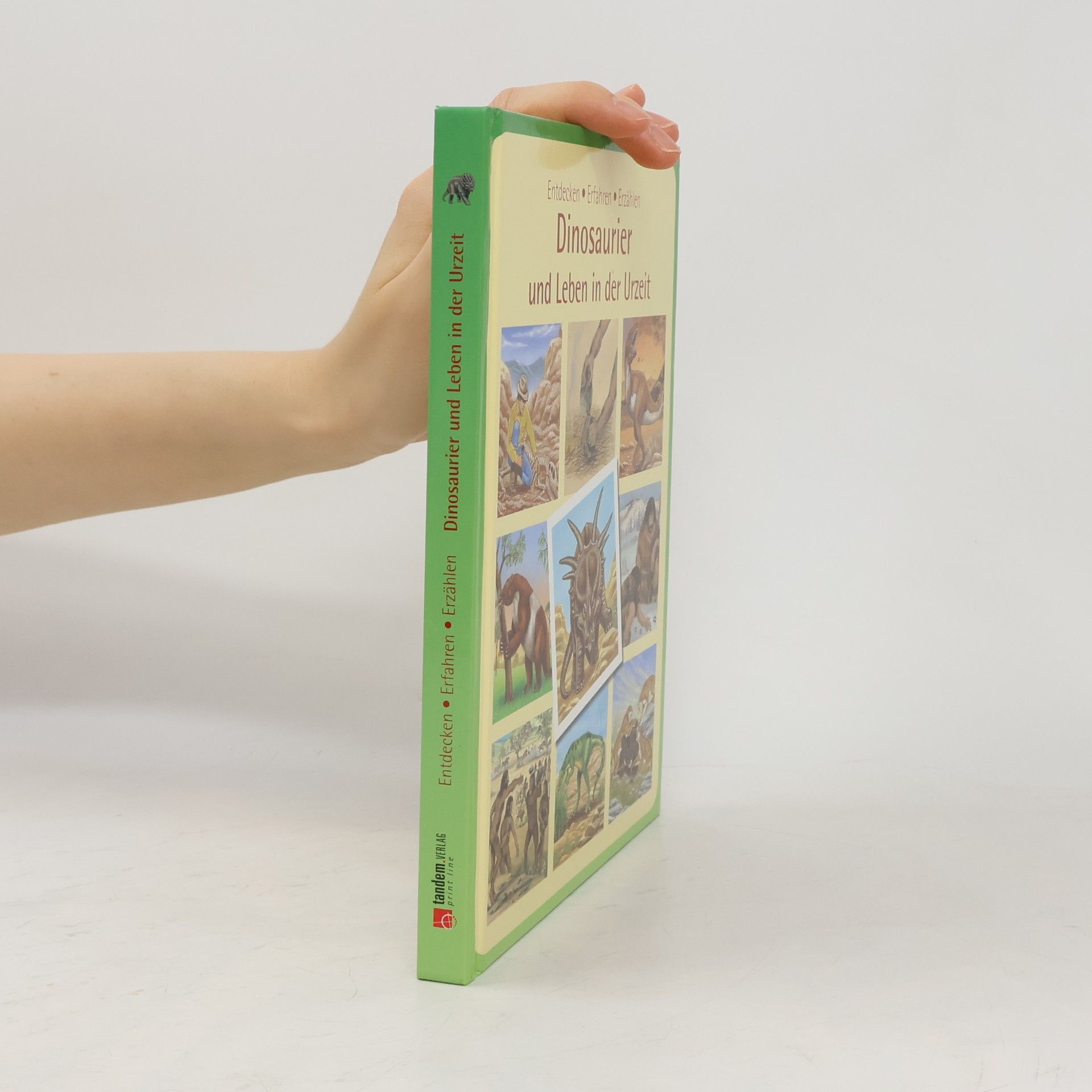 Autorenkollektiv Dinosaurier und Leben in der Urzeit