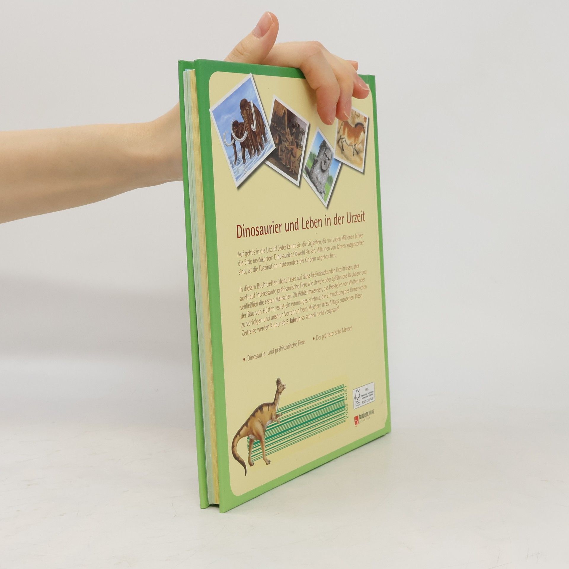 Autores varios Dinosaurier und Leben in der Urzeit