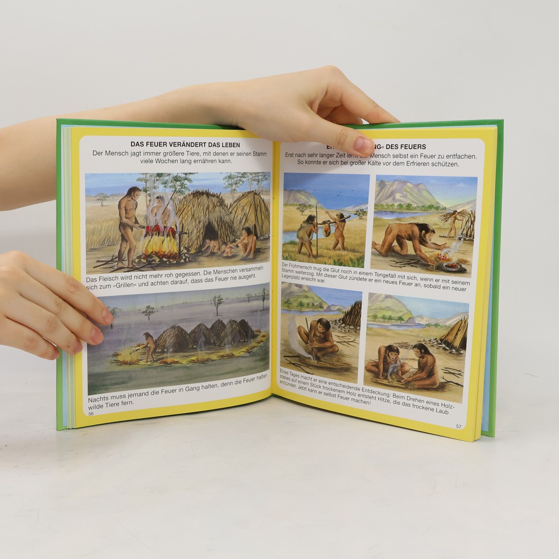 Autores varios Dinosaurier und Leben in der Urzeit