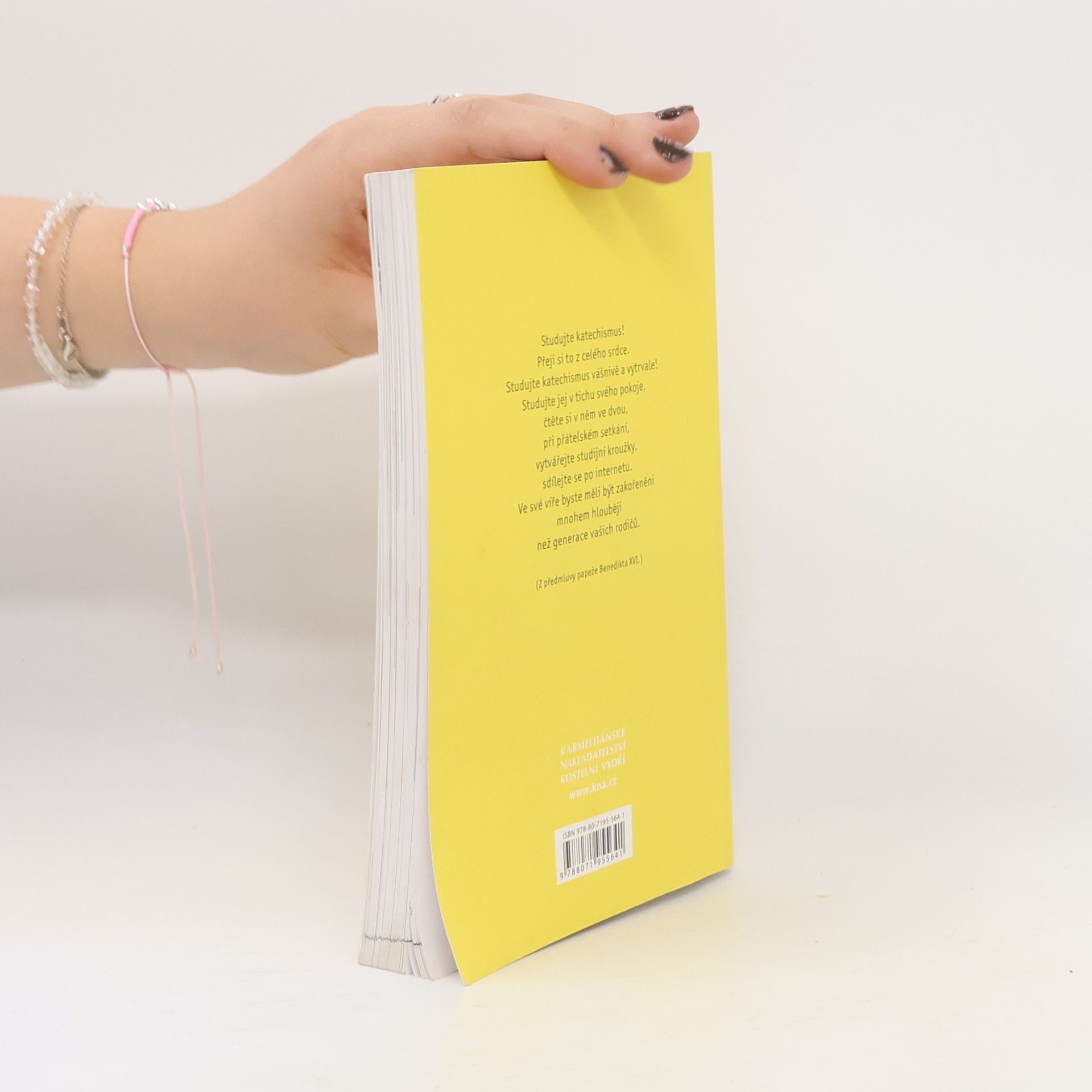 Autorenkollektiv Youcat: katechismus katolické církve pro mladé