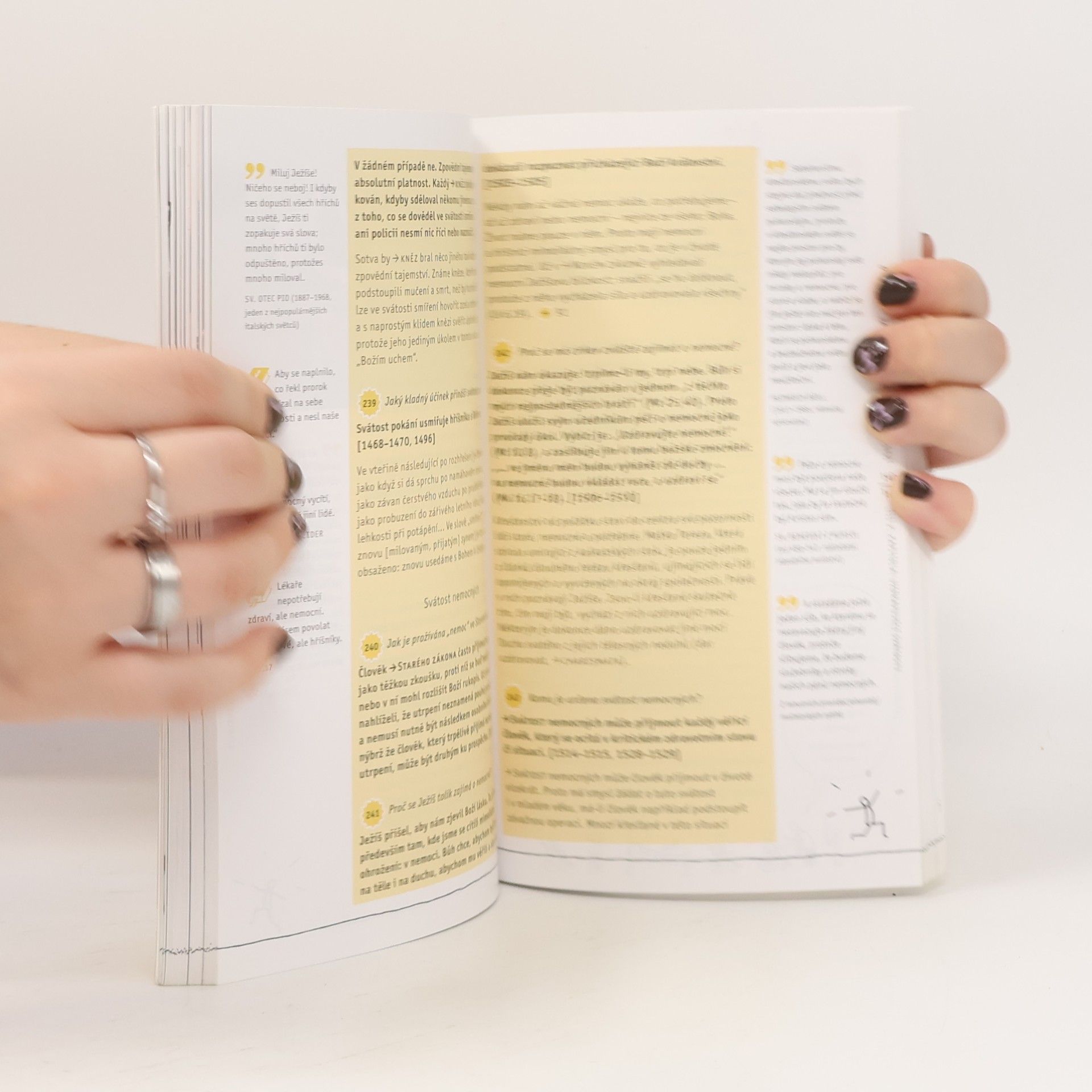 Autorenkollektiv Youcat: katechismus katolické církve pro mladé