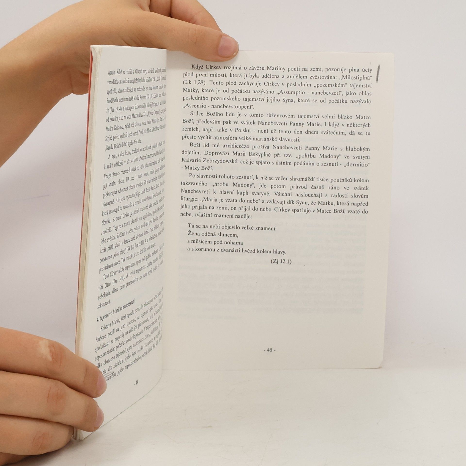 Autorenkollektiv Růženec. Krátké úvahy