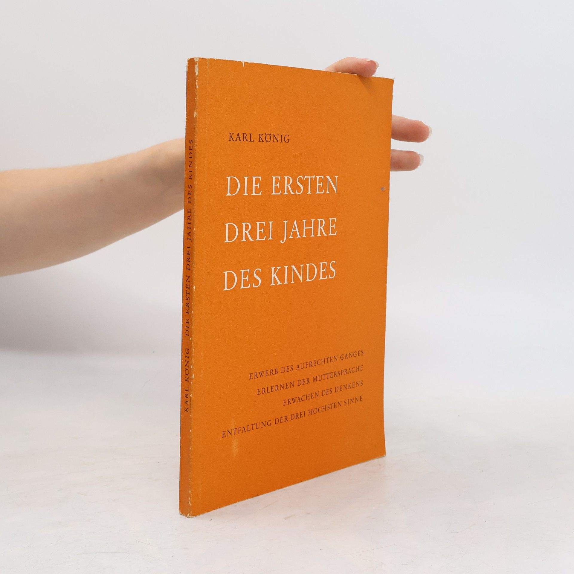Die Ersten drei Jahre des Kindes