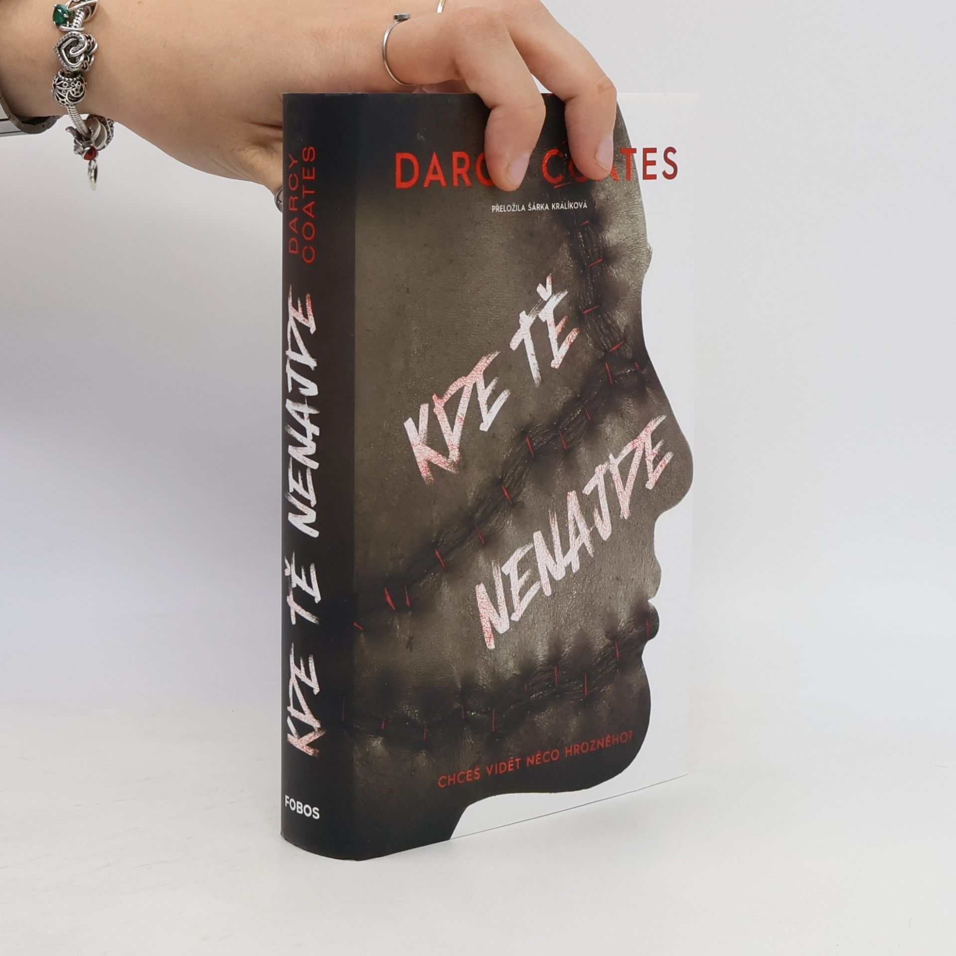 Darcy Coates Kde tě nenajde