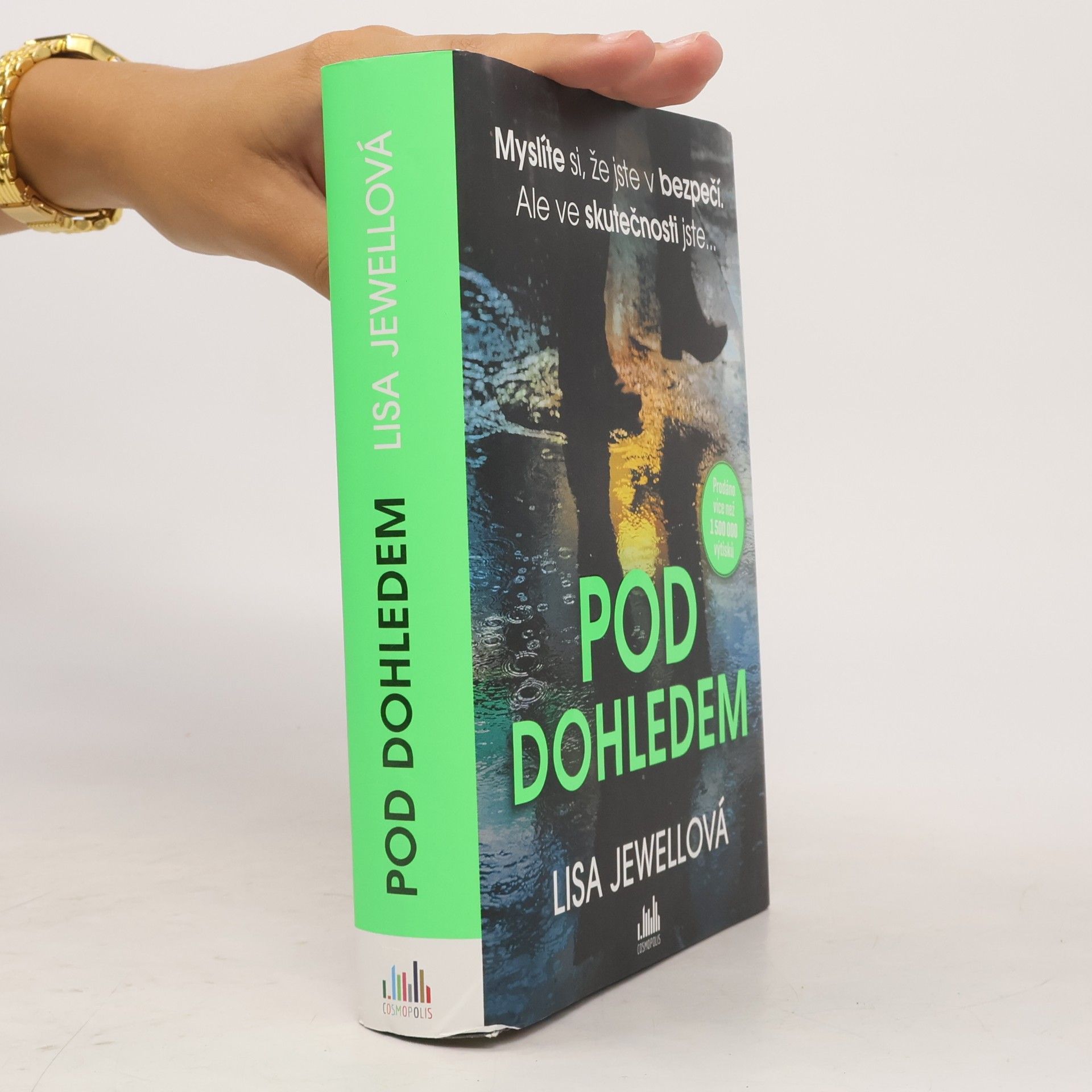 Lisa Jewell Pod dohledem