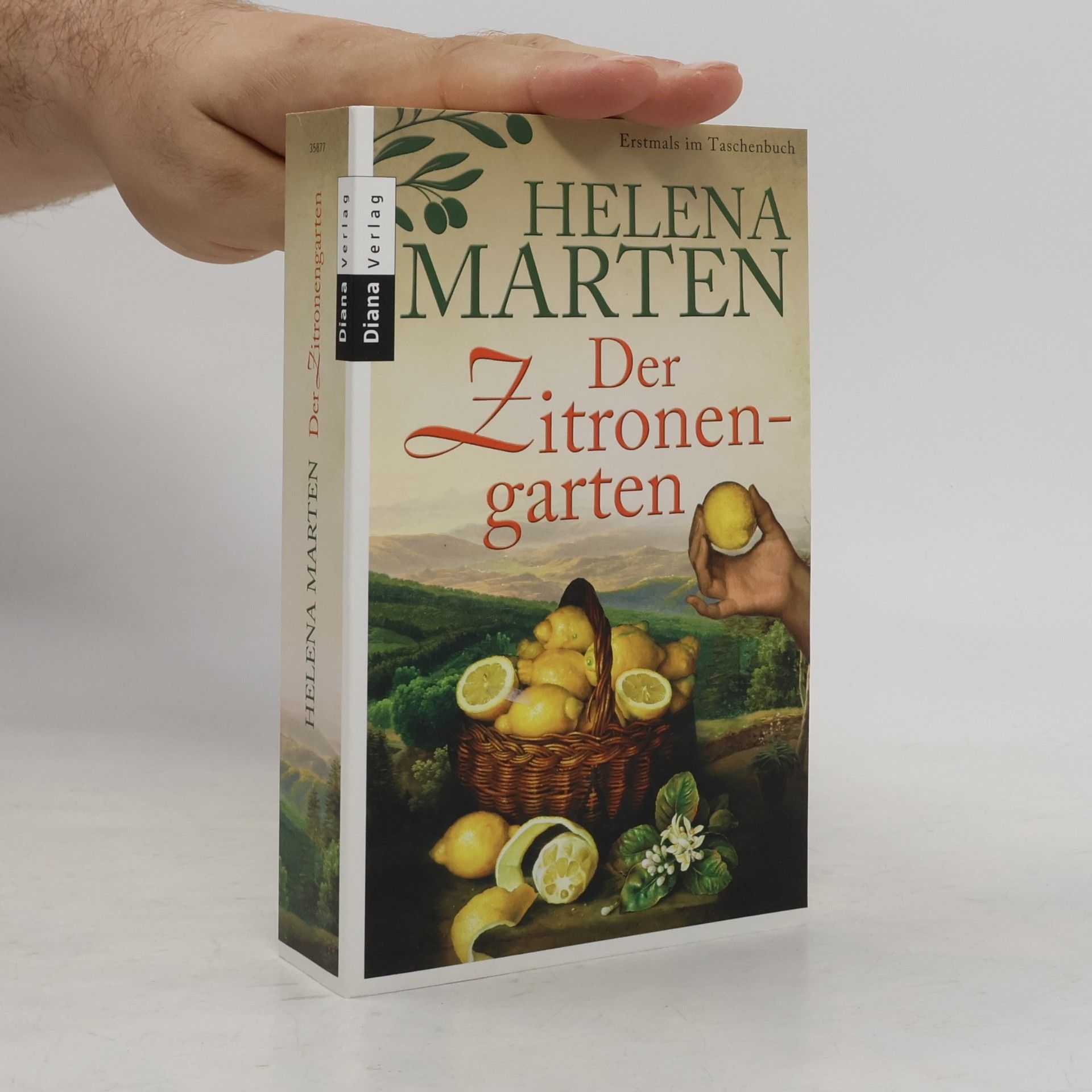 Helena Marten Der Zitronengarten