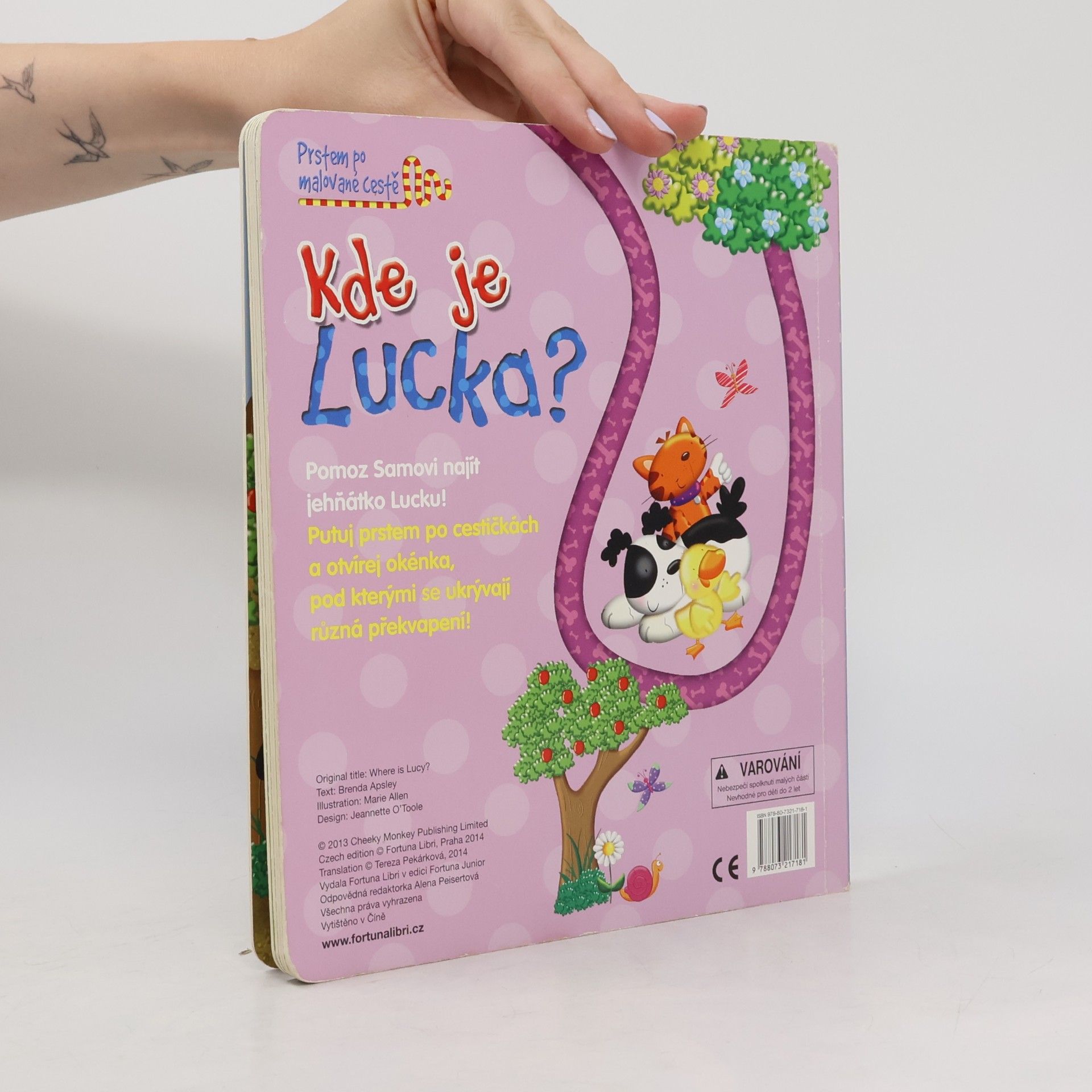 Brenda Apsley Kde je Lucka? : prstem po malované cestě