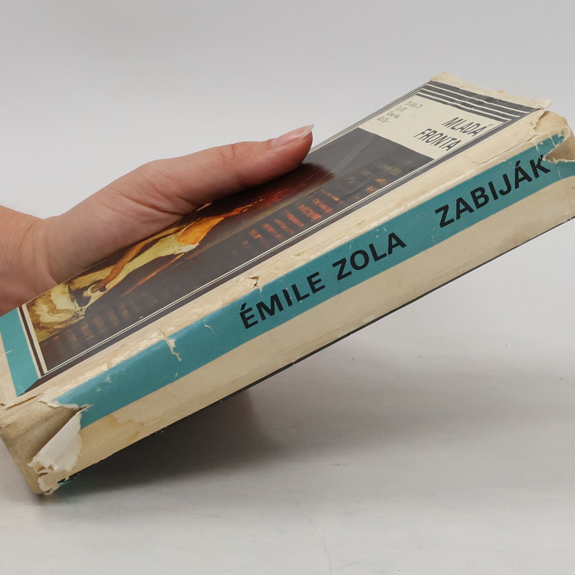 Émile Zola Zabiják