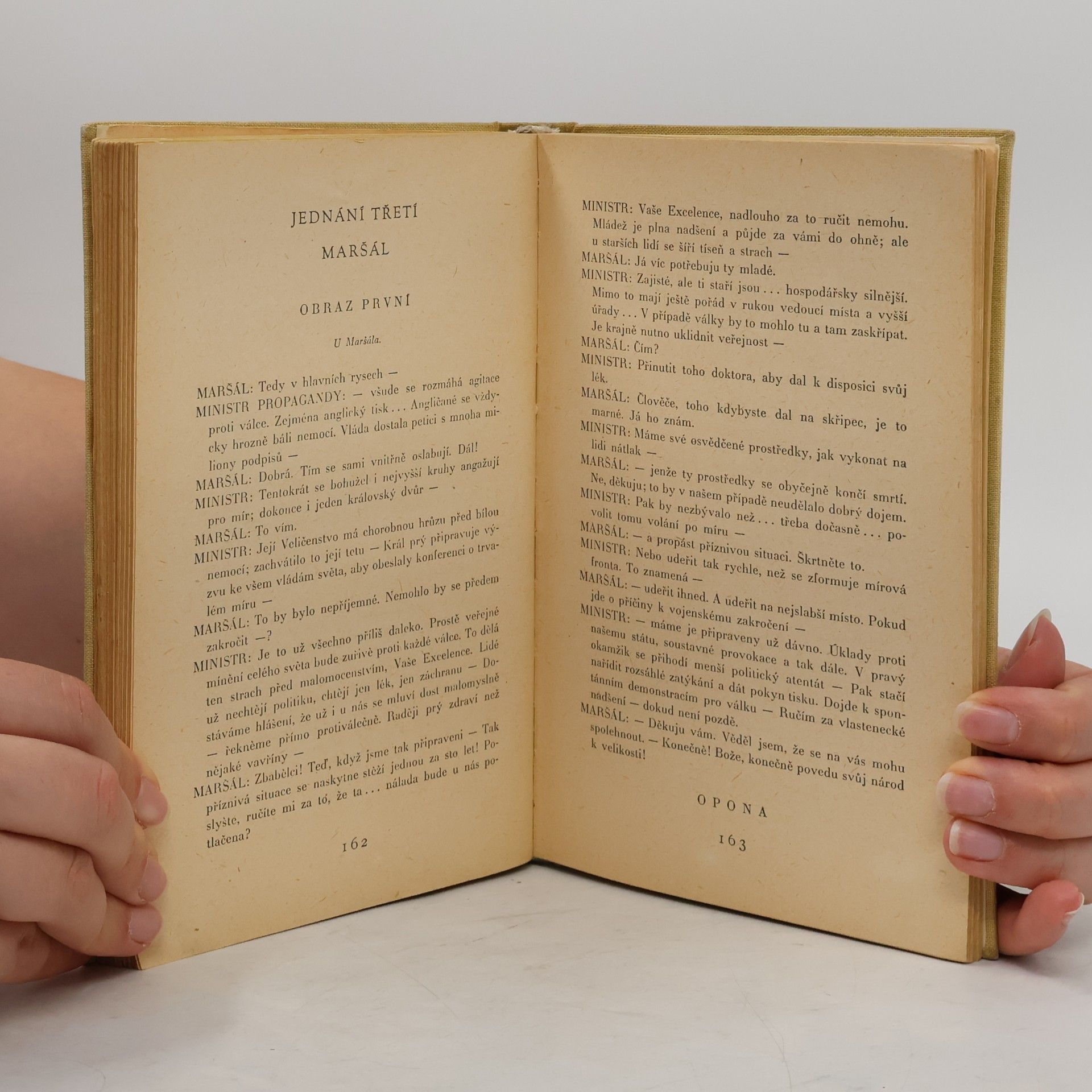 Karel Čapek R. U. R., Bílá nemoc, Matka