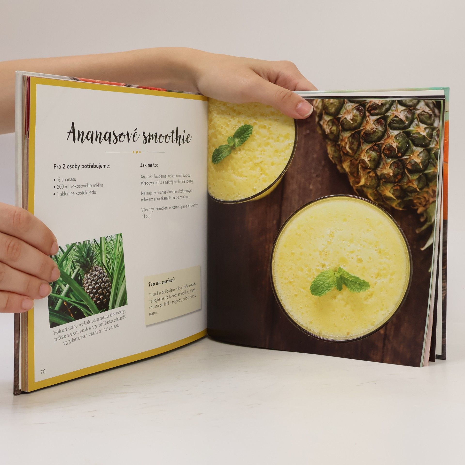 Martínková Petra Smoothies a jiné zdravé nápoje