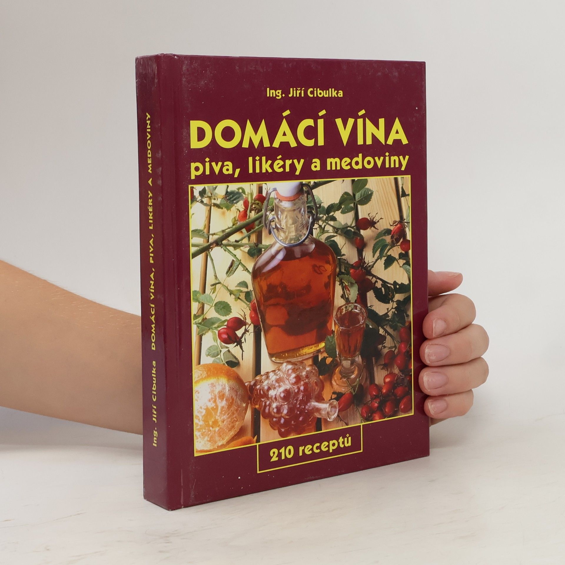 Jiří Cibulka Domácí vína: Piva, likéry a medoviny