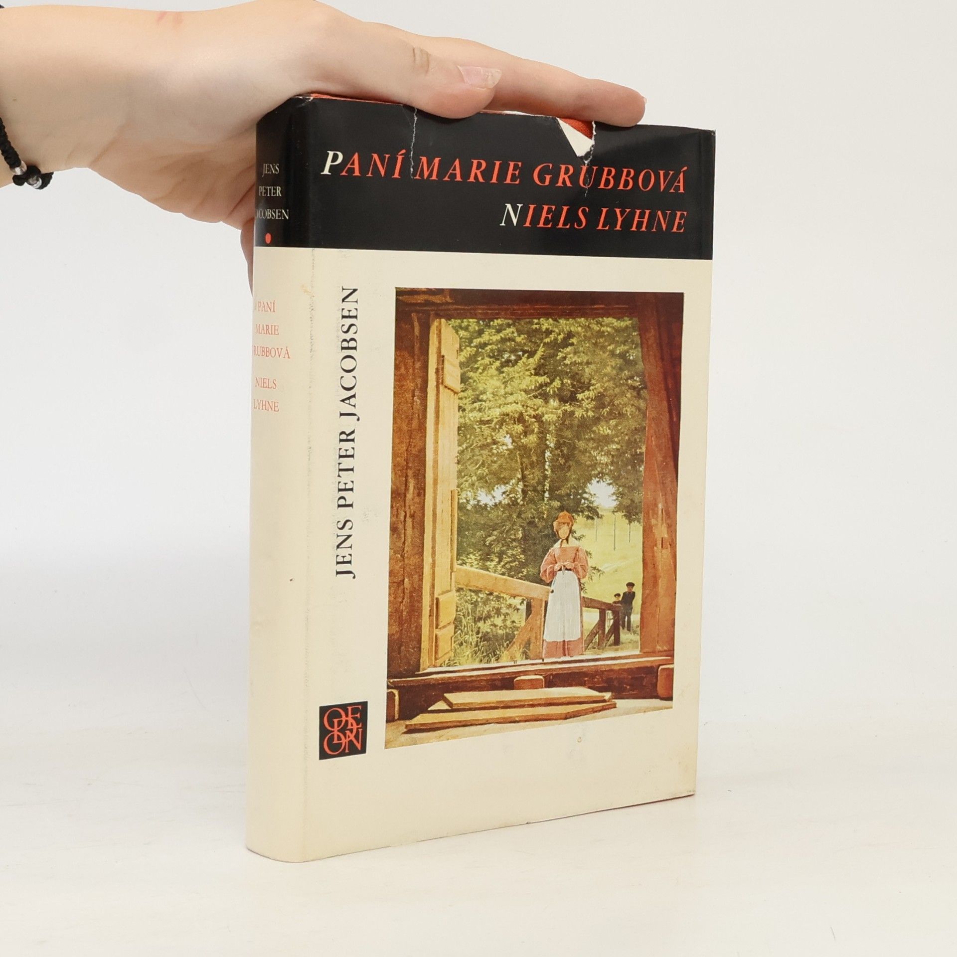 Paní Marie Grubbová. Niels Lyhne