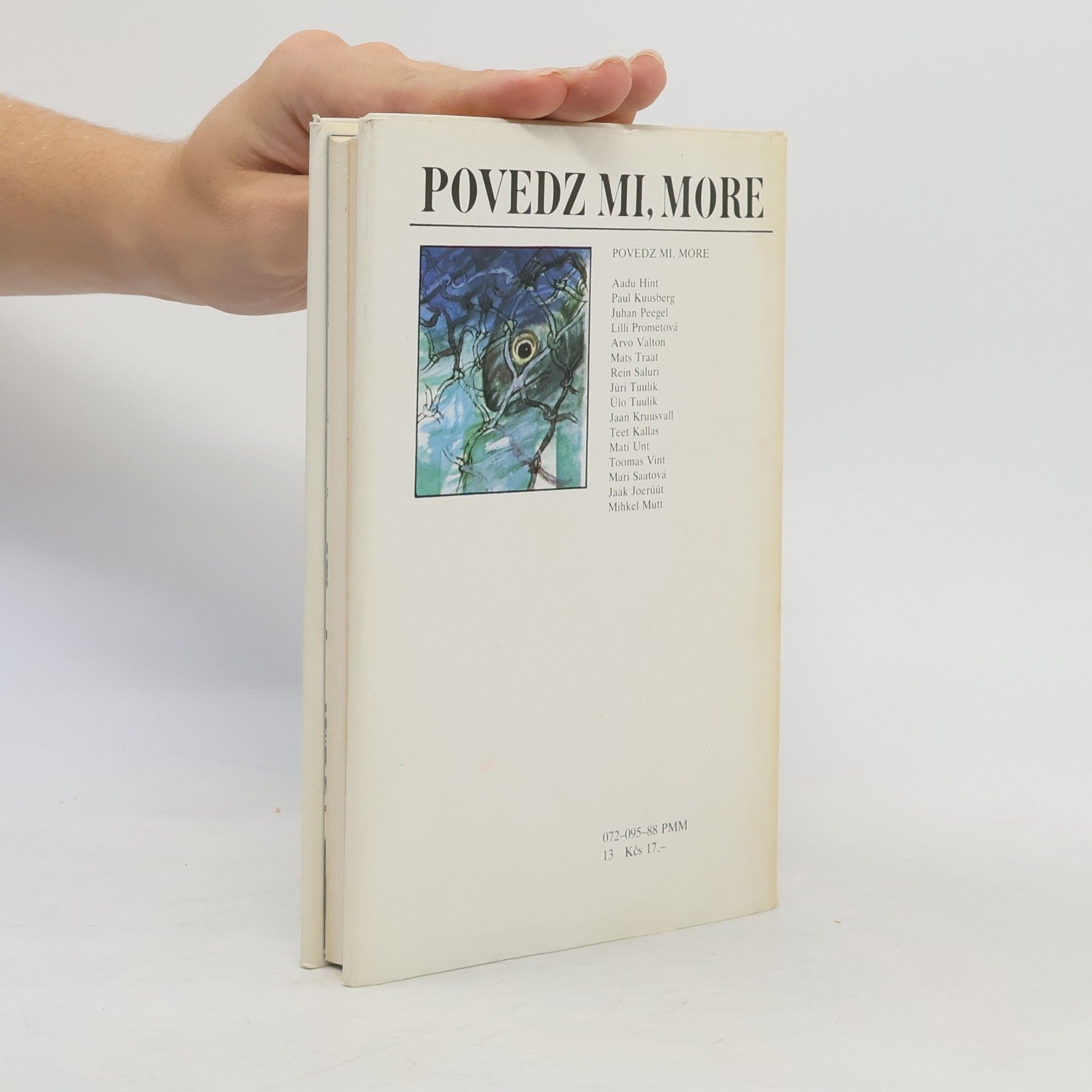 Autorenkollektiv Povedz mi, more. Antológia estónskych poviedok