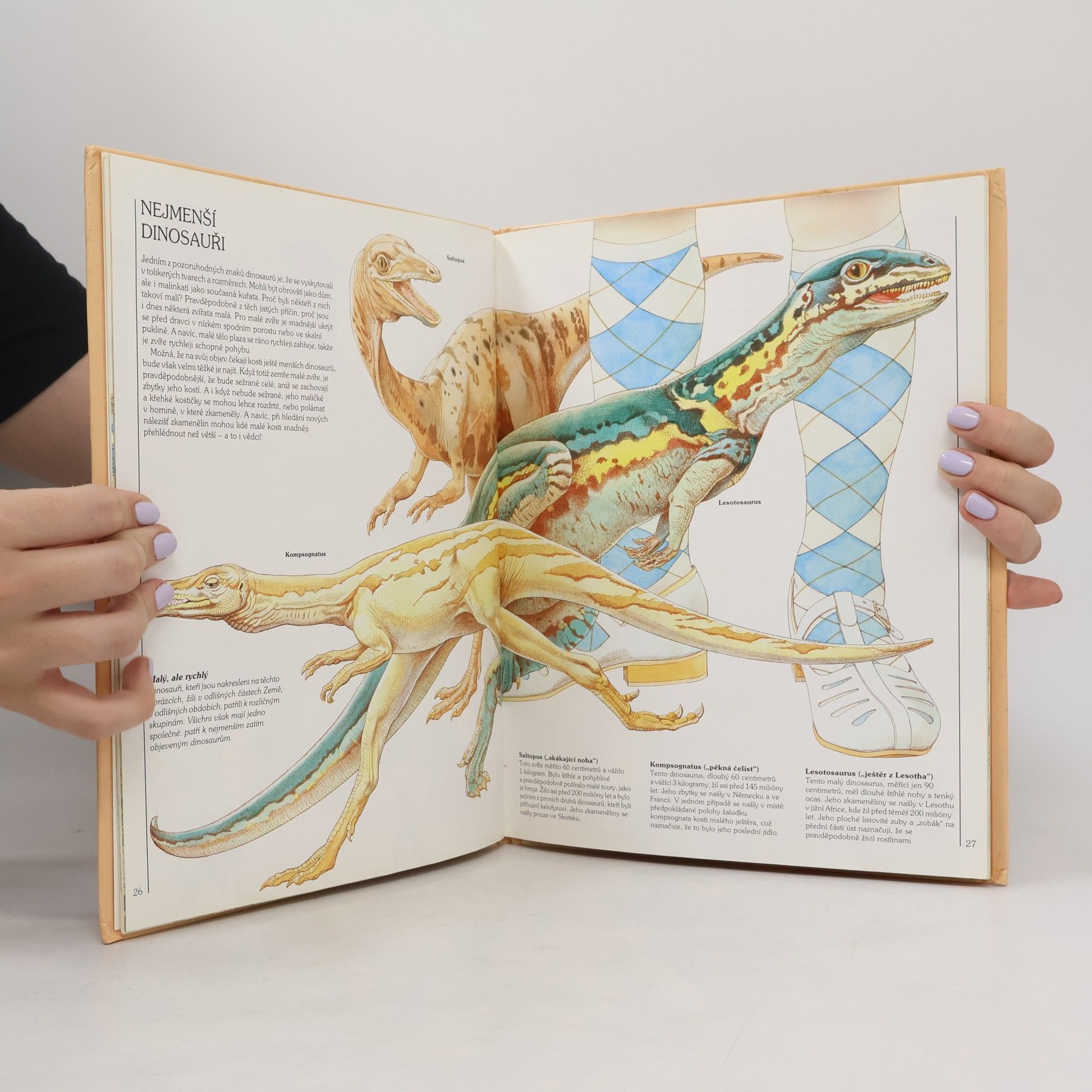Collectif d'auteurs Jak žili dinosauři