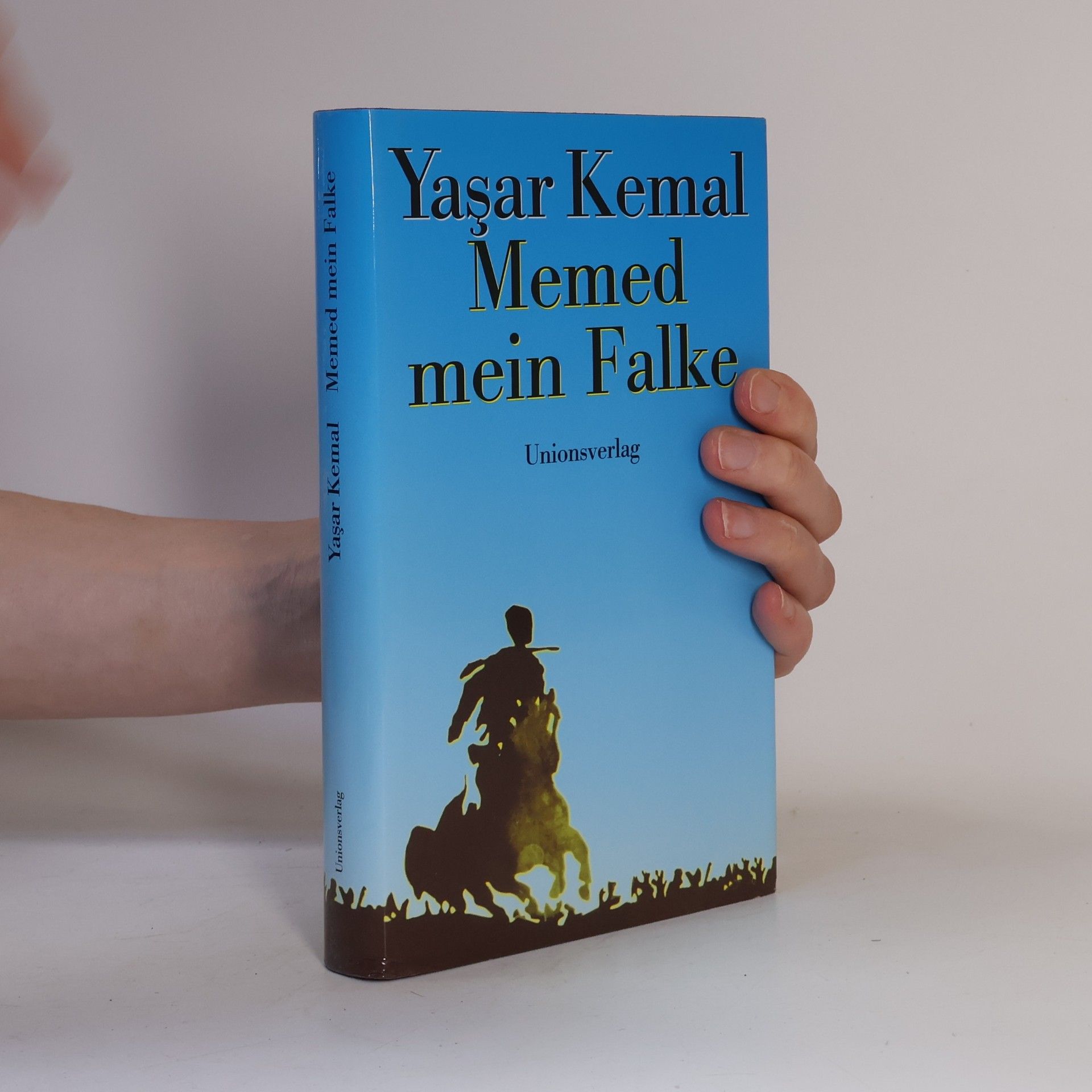 Yaşar Kemal Memed, mein Falke