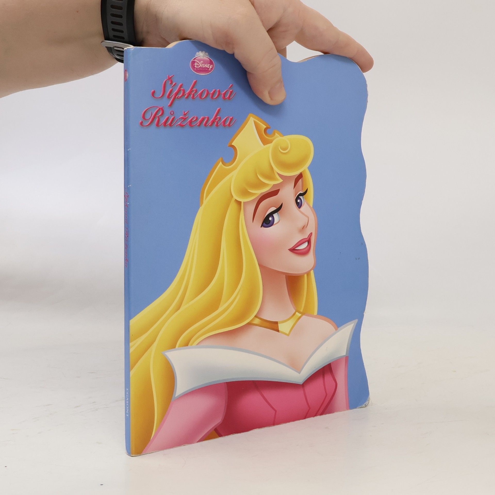 Walt Disney Šípková Růženka - leporelo