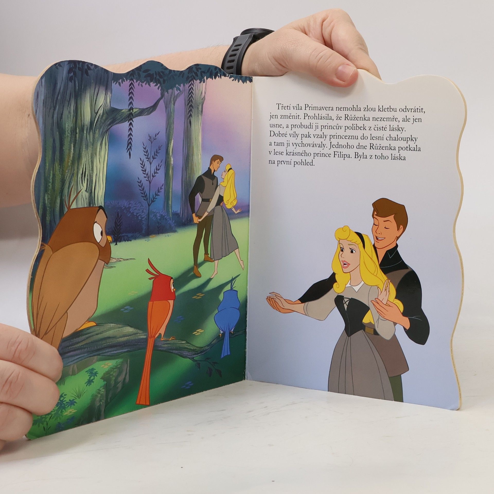 Walt Disney Šípková Růženka - leporelo